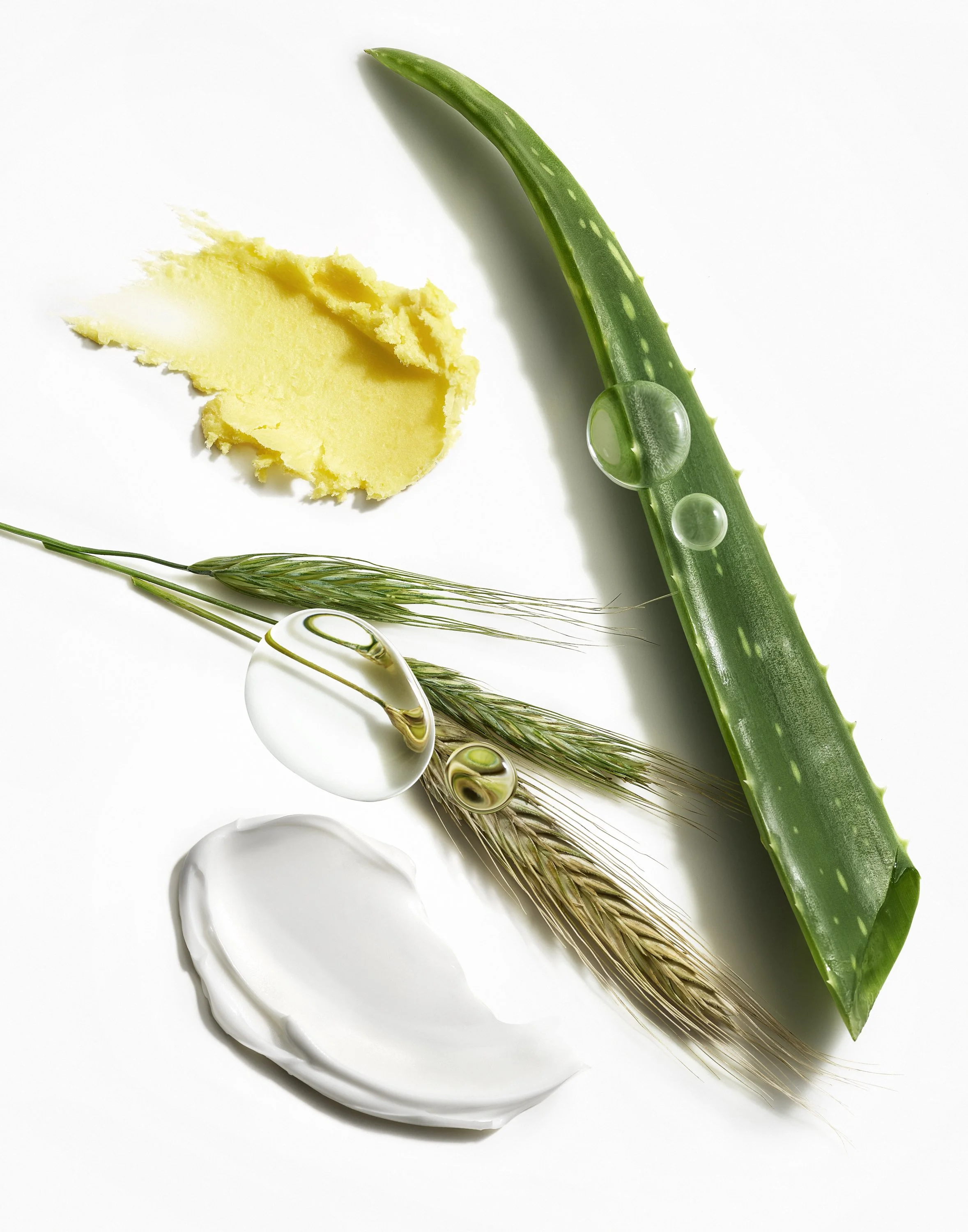 Josie Maran Body Butter Ingredient