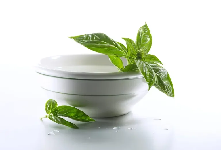 Basil Bowl