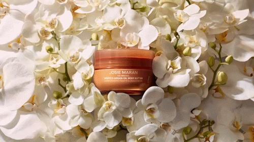 josie-maran-bodybutter-scents-reel.gif