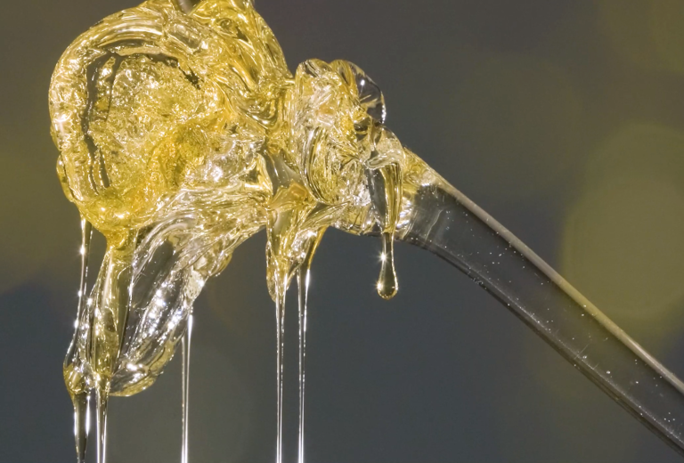 Honeybee