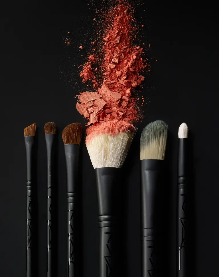 MAC Brush Kit 2