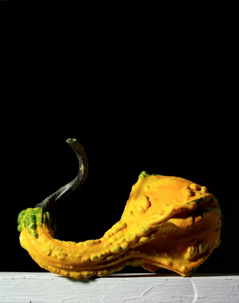 Gourds #19