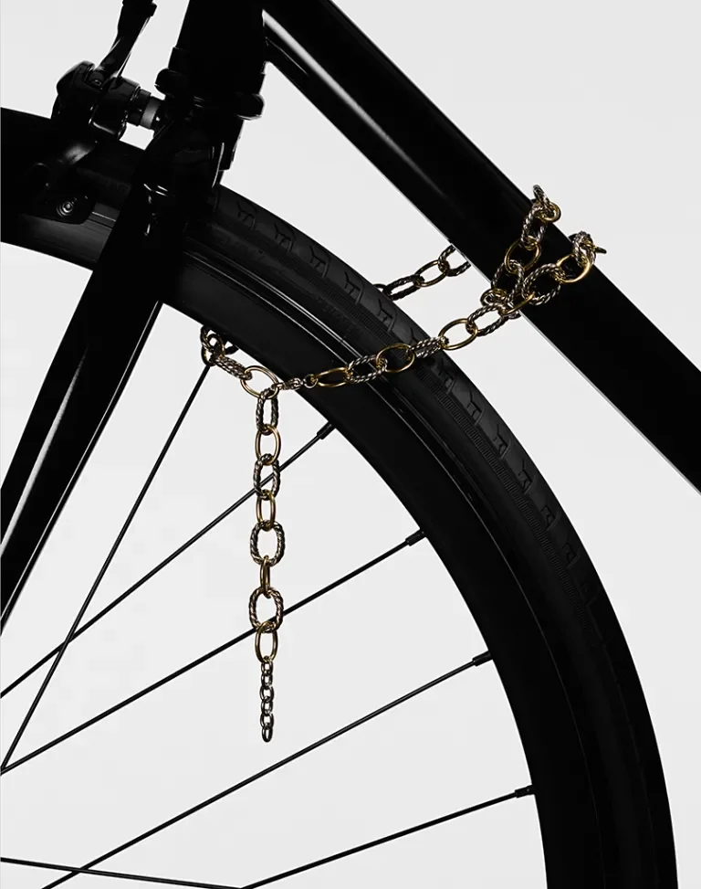 Bike Chain 3
