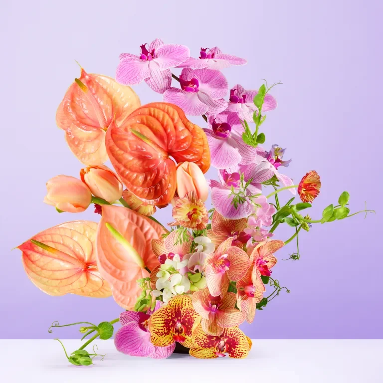 Botanic Panic Ambient 02