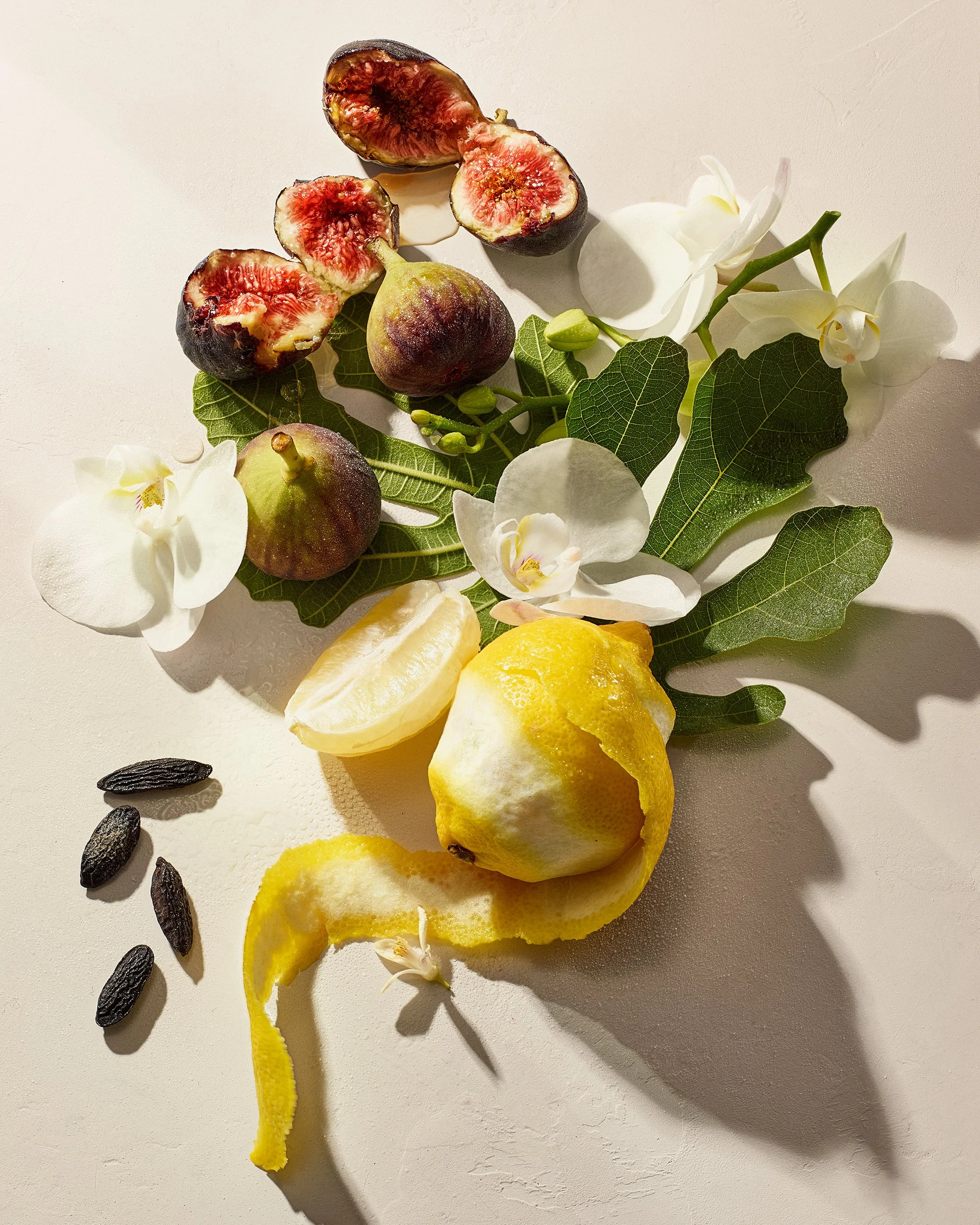 Josie Maran Bohemian Fig Scent Story