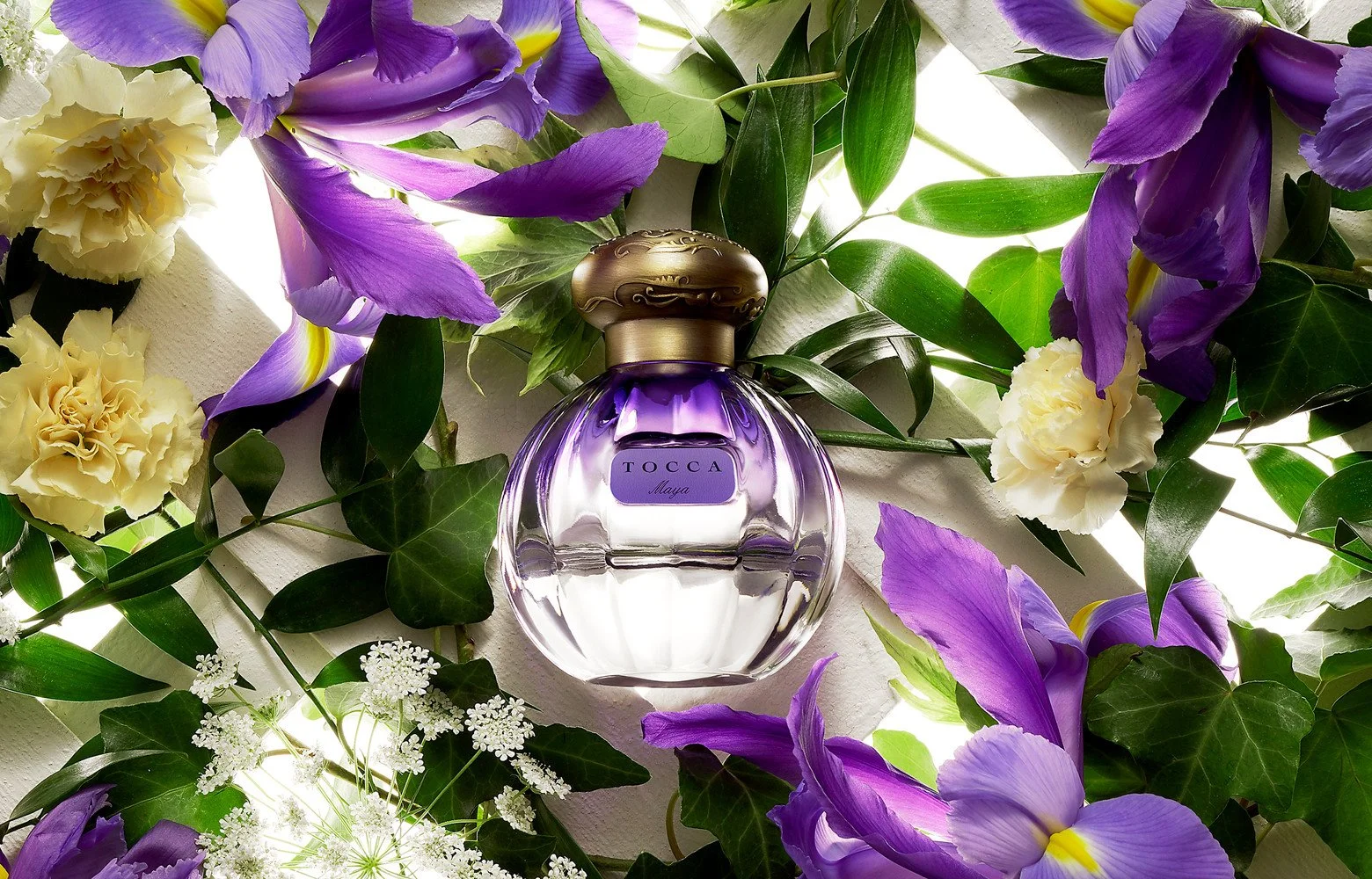 Tocca Maya Spring Icon