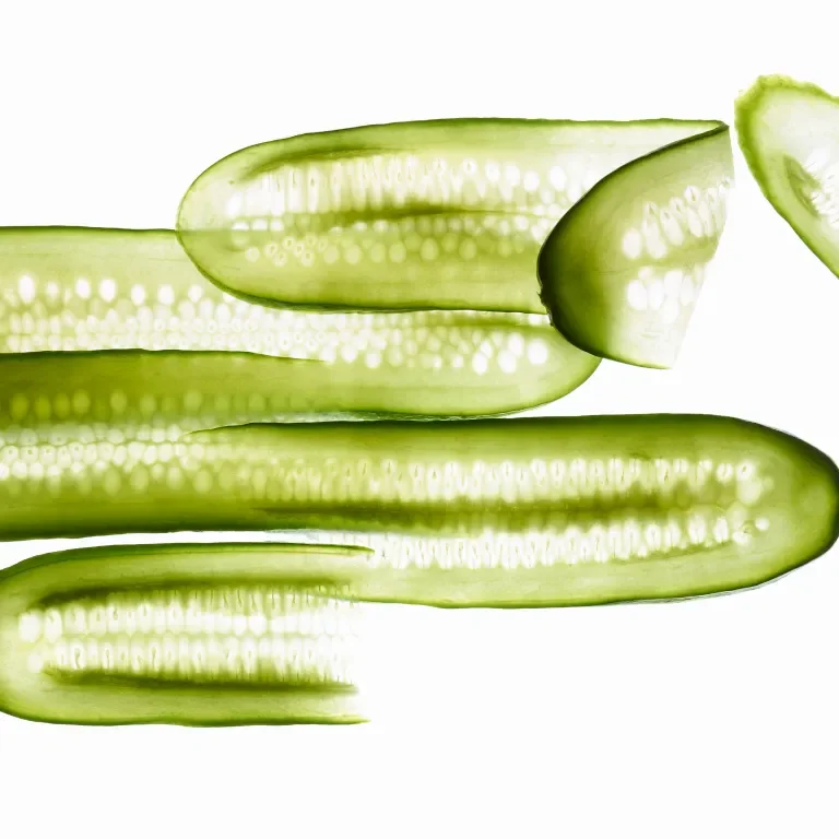 Cucumber Cross Section