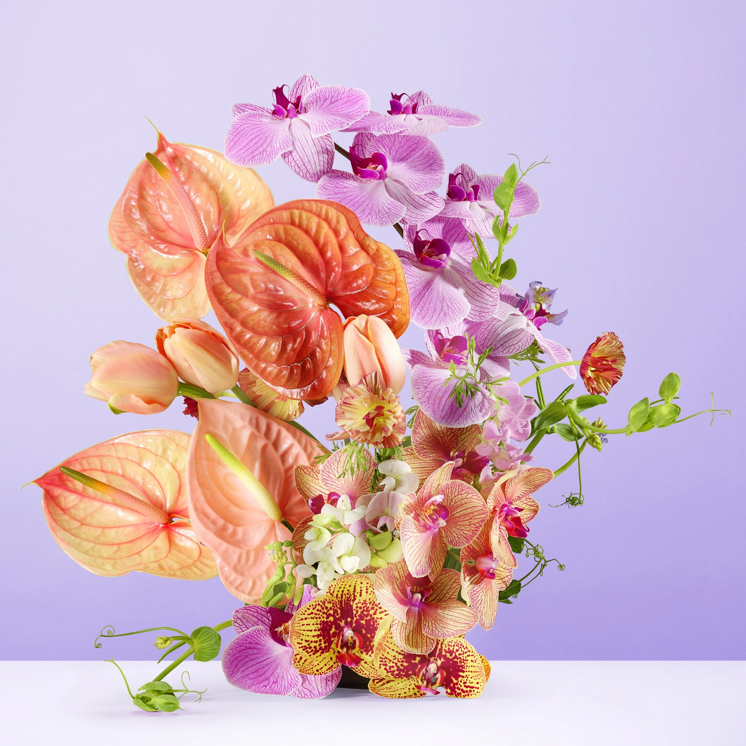 Botanic Panic Ambient 02