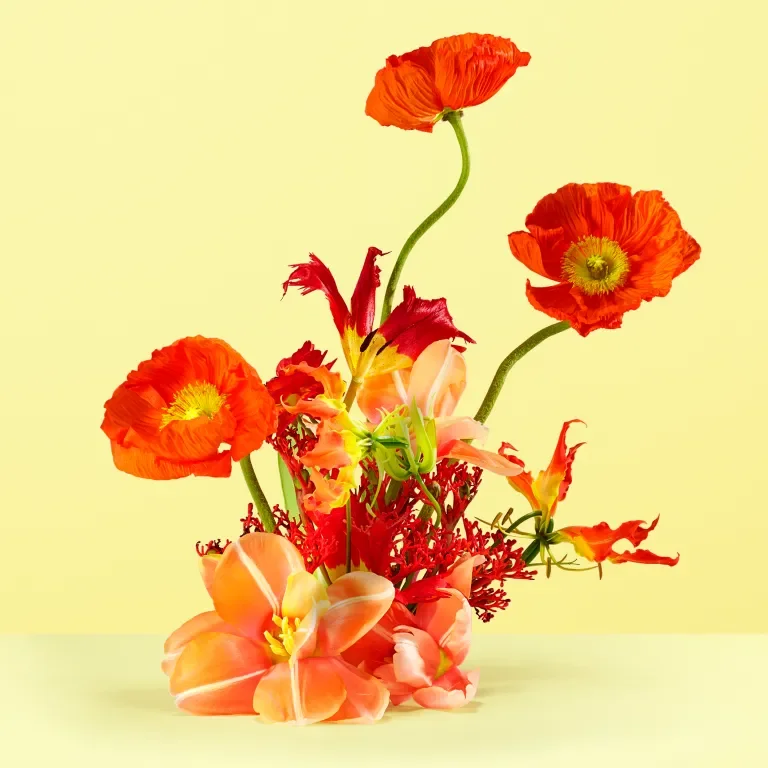 Botanic Panic Ambient 08