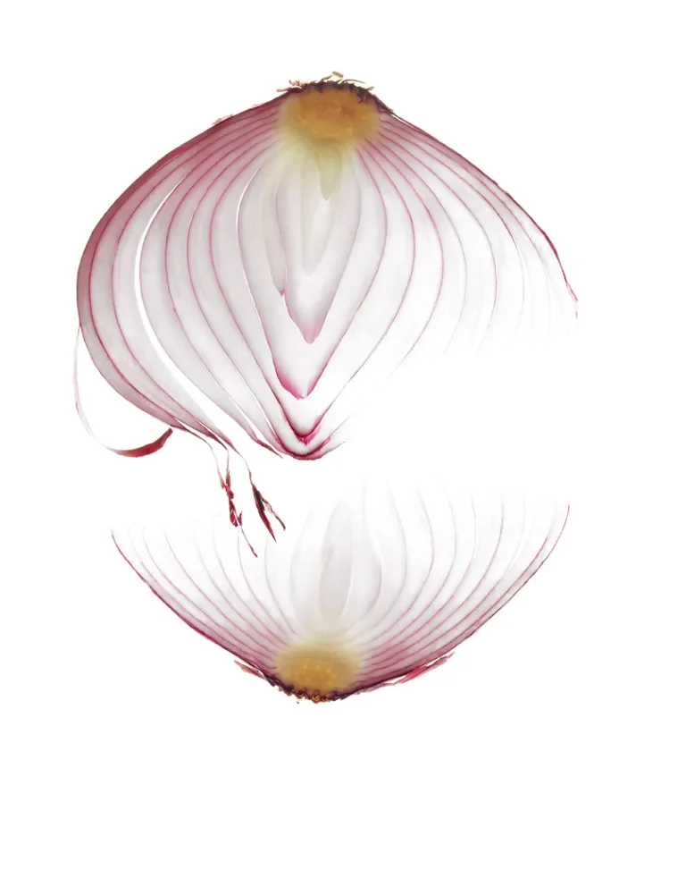 Red Onion 1