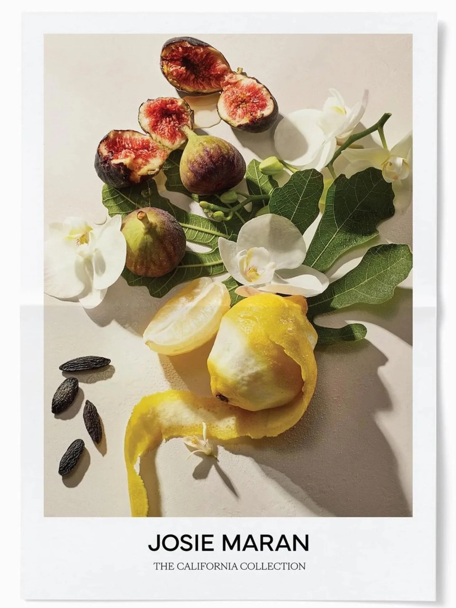 Josie Maran California Collection campaign imagery featuring fruit and botancials including fresh figs, vanilla beans, lemon and orchids on a textured paster background