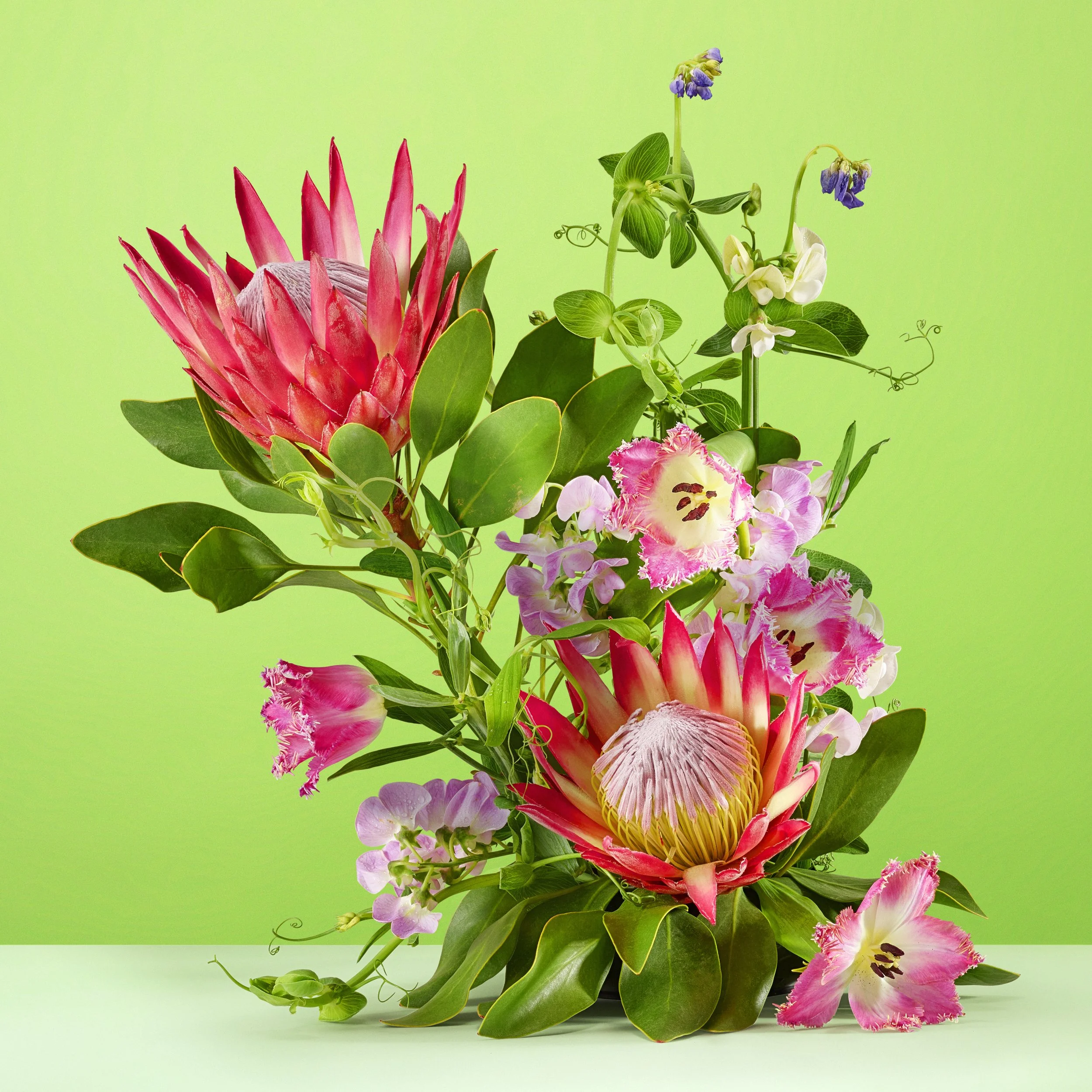 Botanic Panic Ambient 04