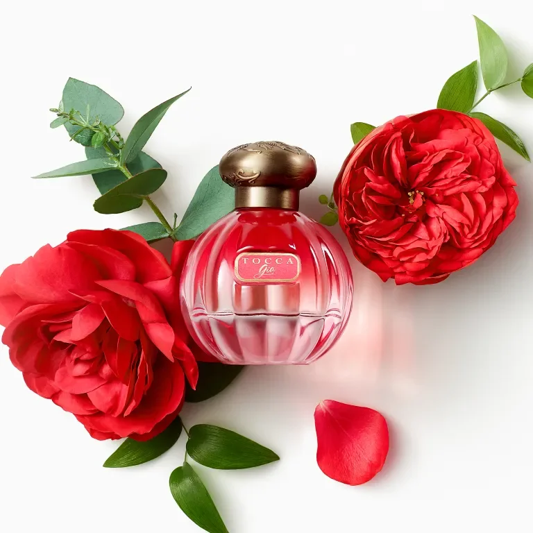 Gia Stylized Contemporaries