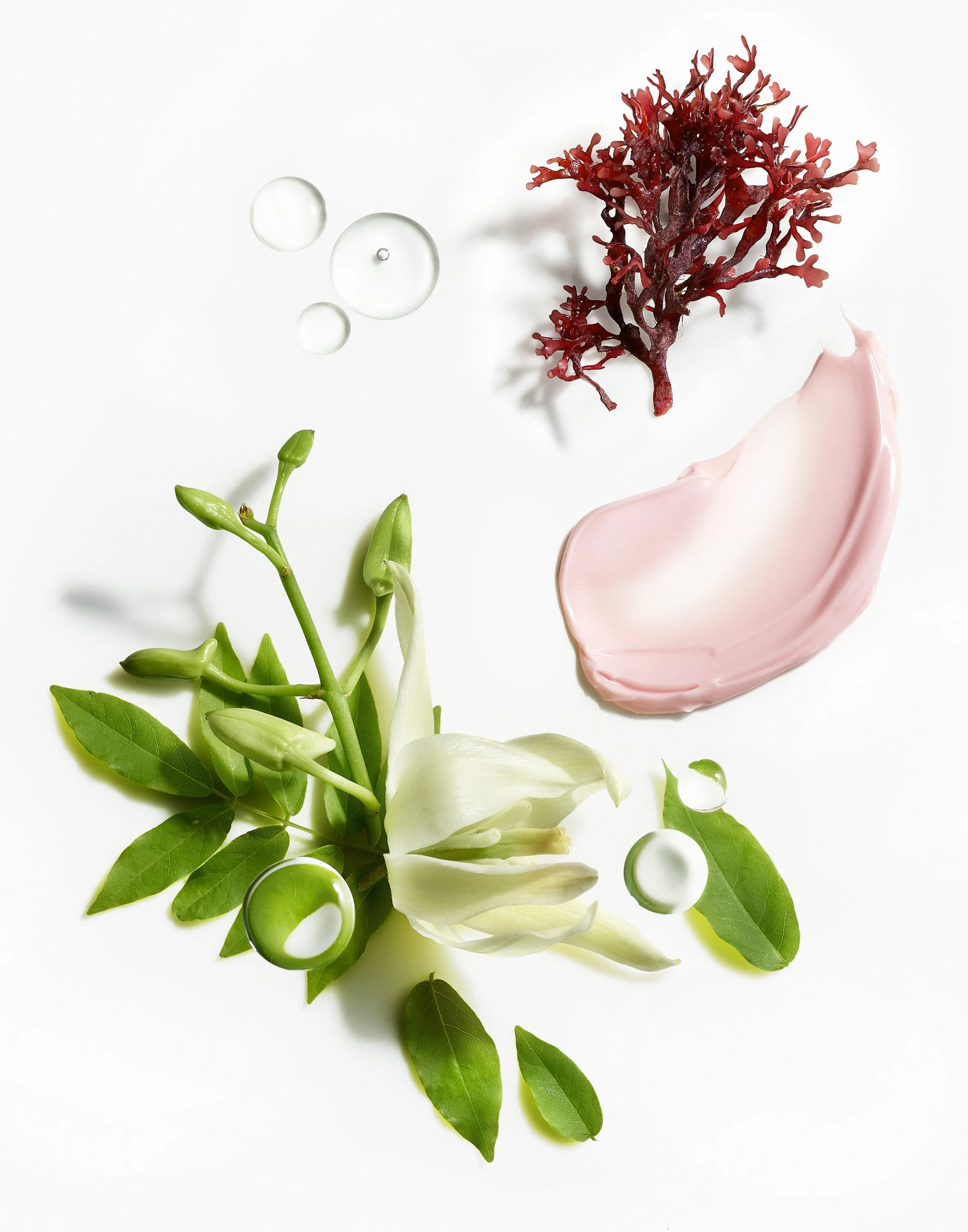 Body Butter Retinol moisturizer product shown with argan oil, algae and botanical ingredient