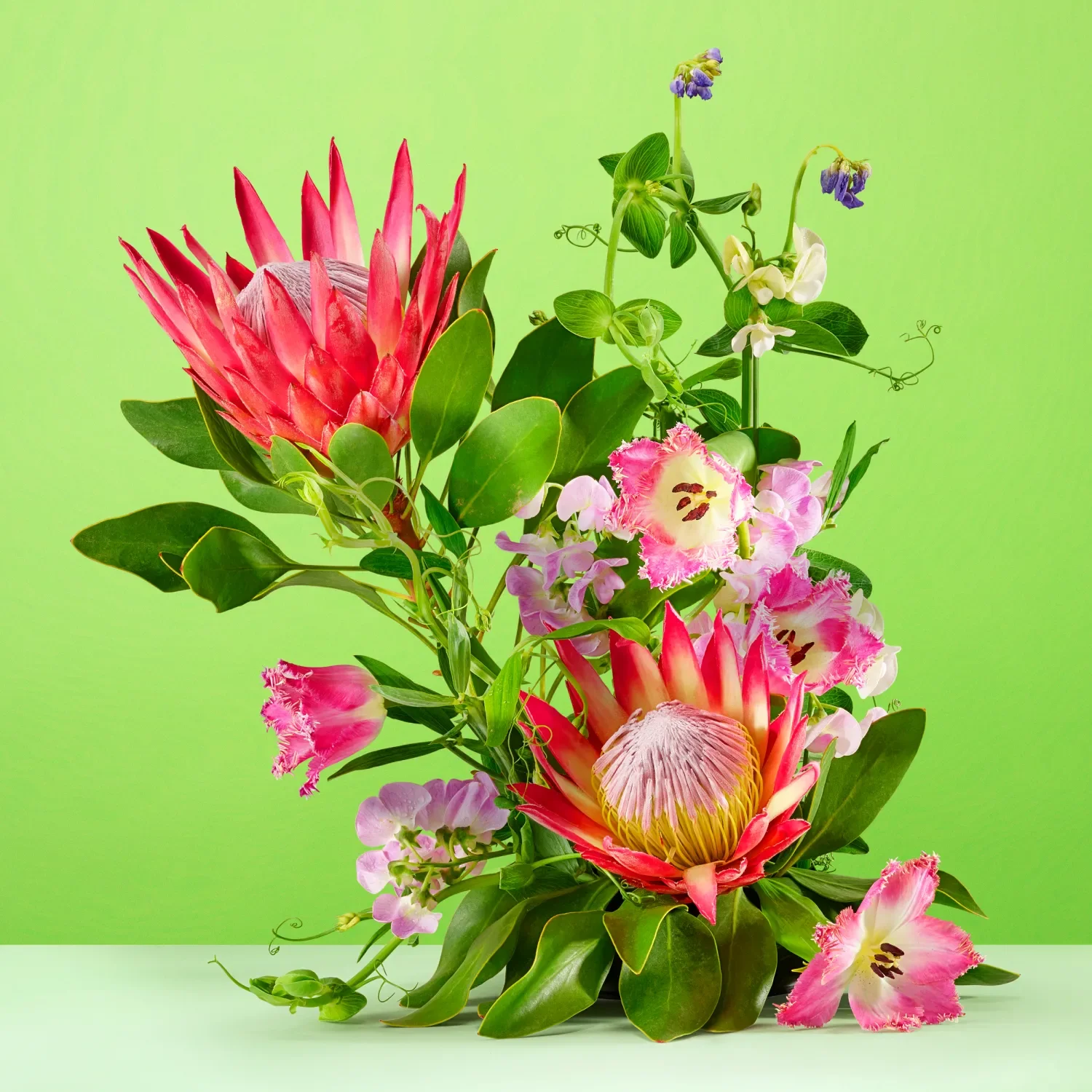 Botanic Panic Ambient 04