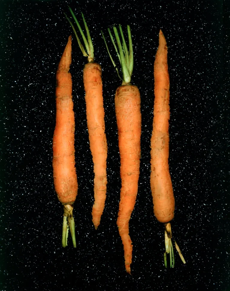 Black Sand Carrots