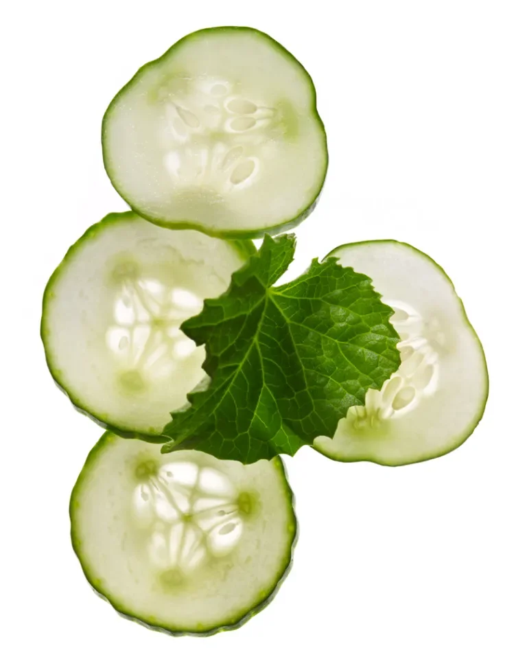 Cucumber Leaf