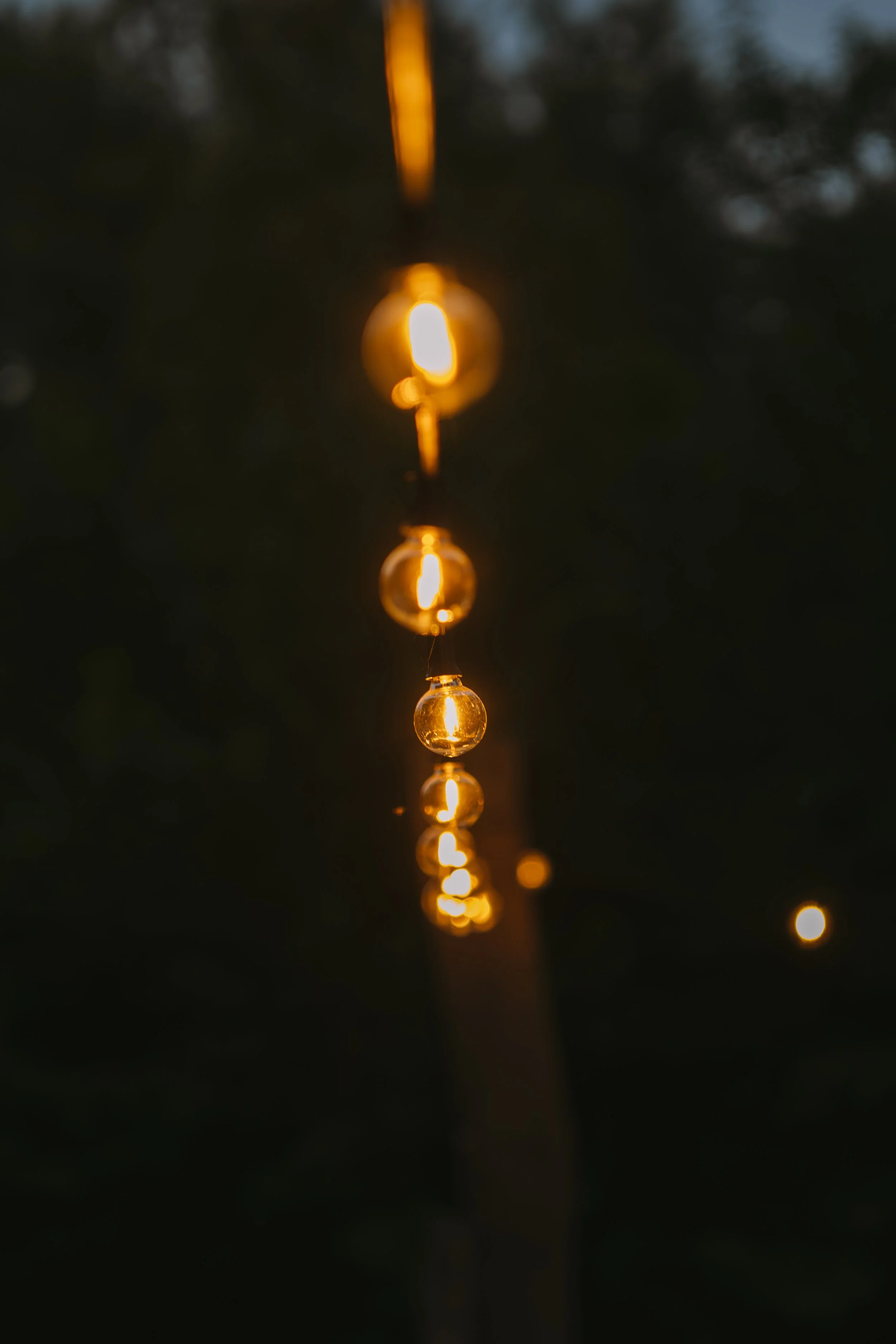 DSC_6696.jpg