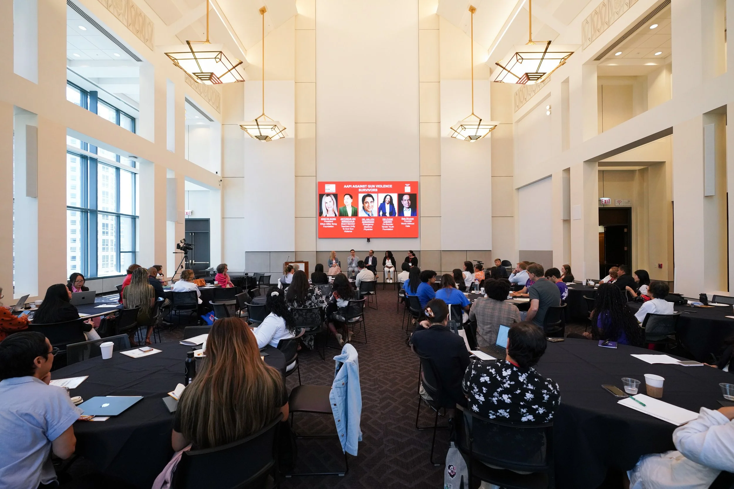 AAPI Gun Violence Event-ChicagoJuly2025-AlexGarcia-070.jpg