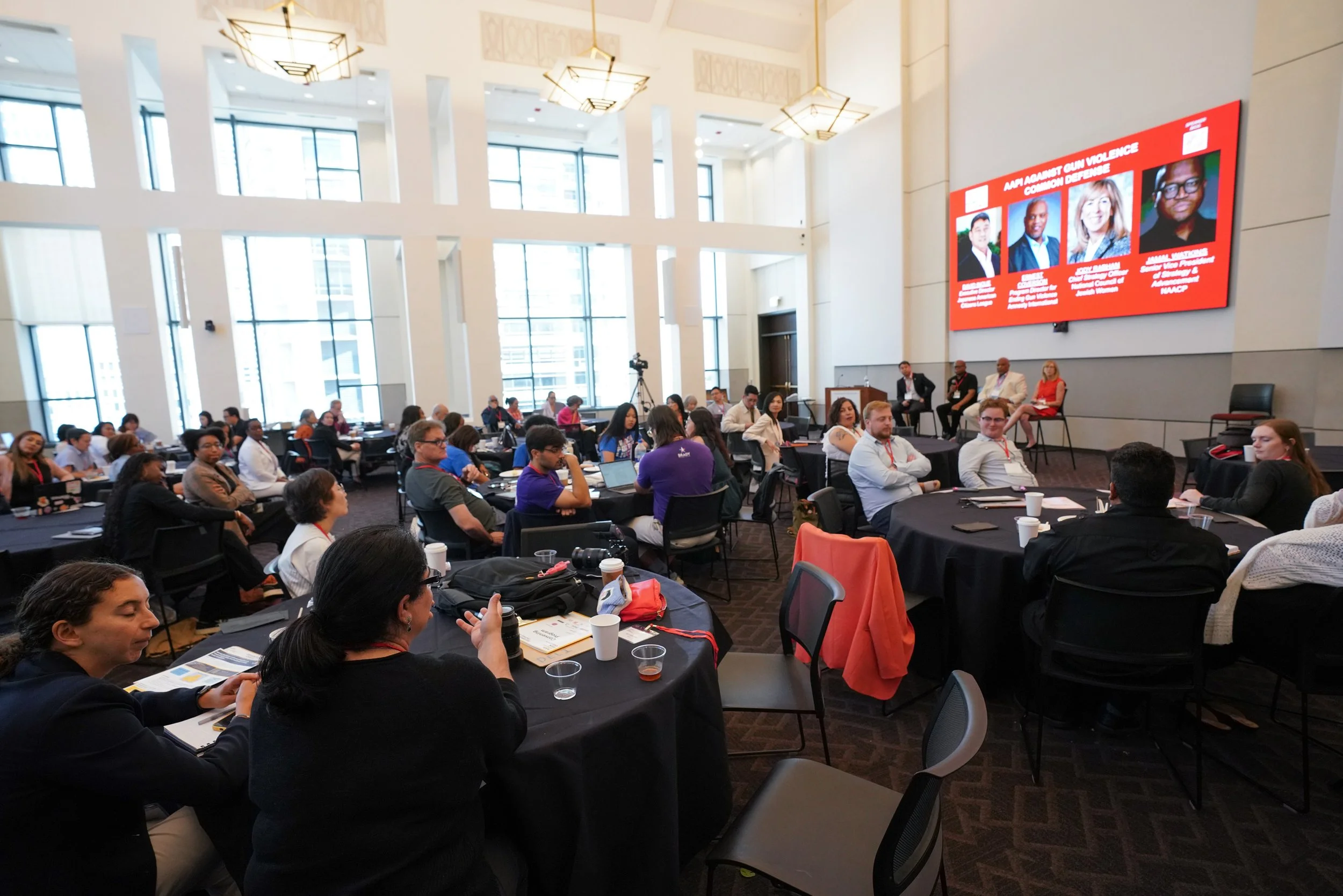 AAPI Gun Violence Event-ChicagoJuly2025-AlexGarcia-145.jpg