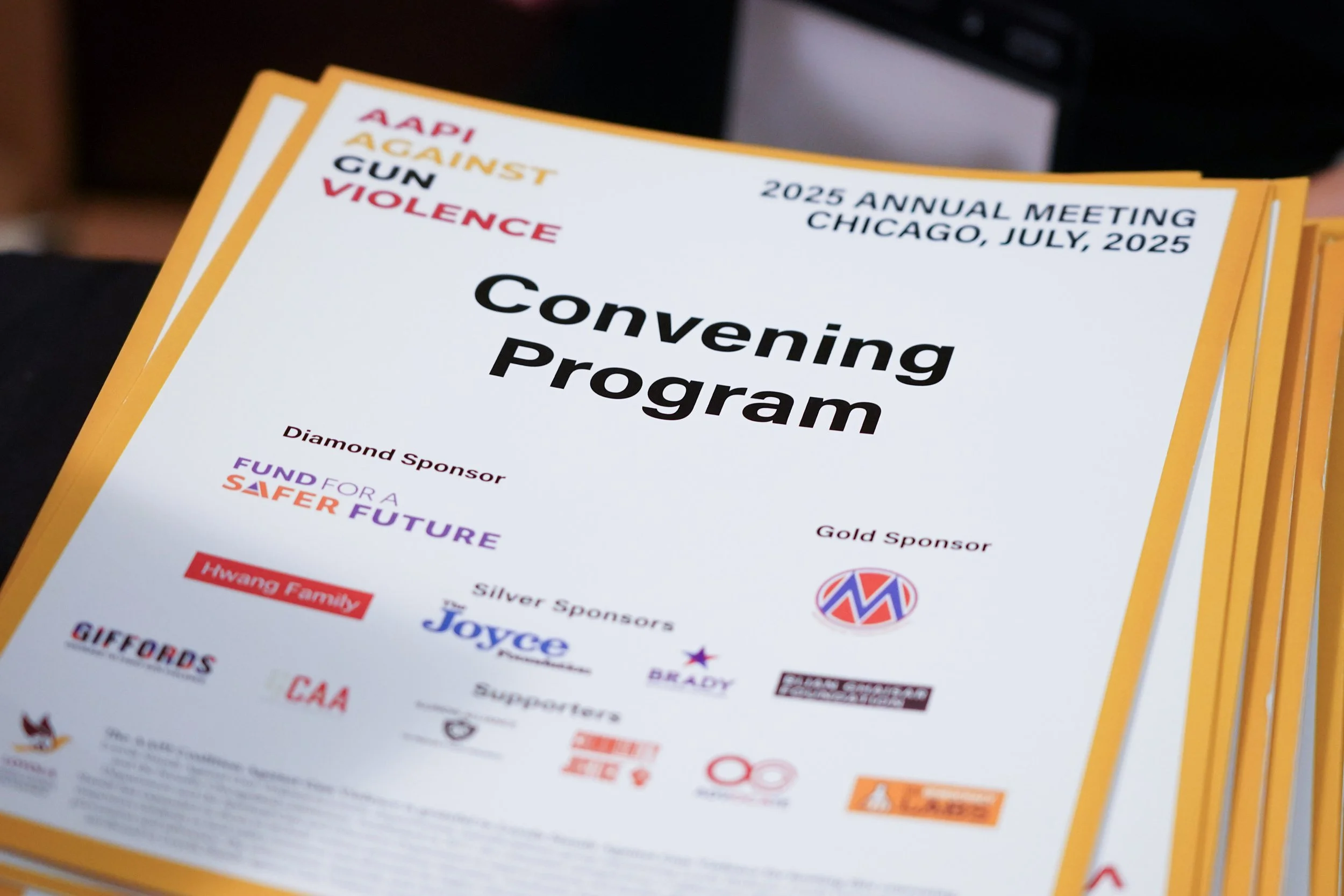 AAPI Gun Violence Event-ChicagoJuly2025-AlexGarcia-004.jpg