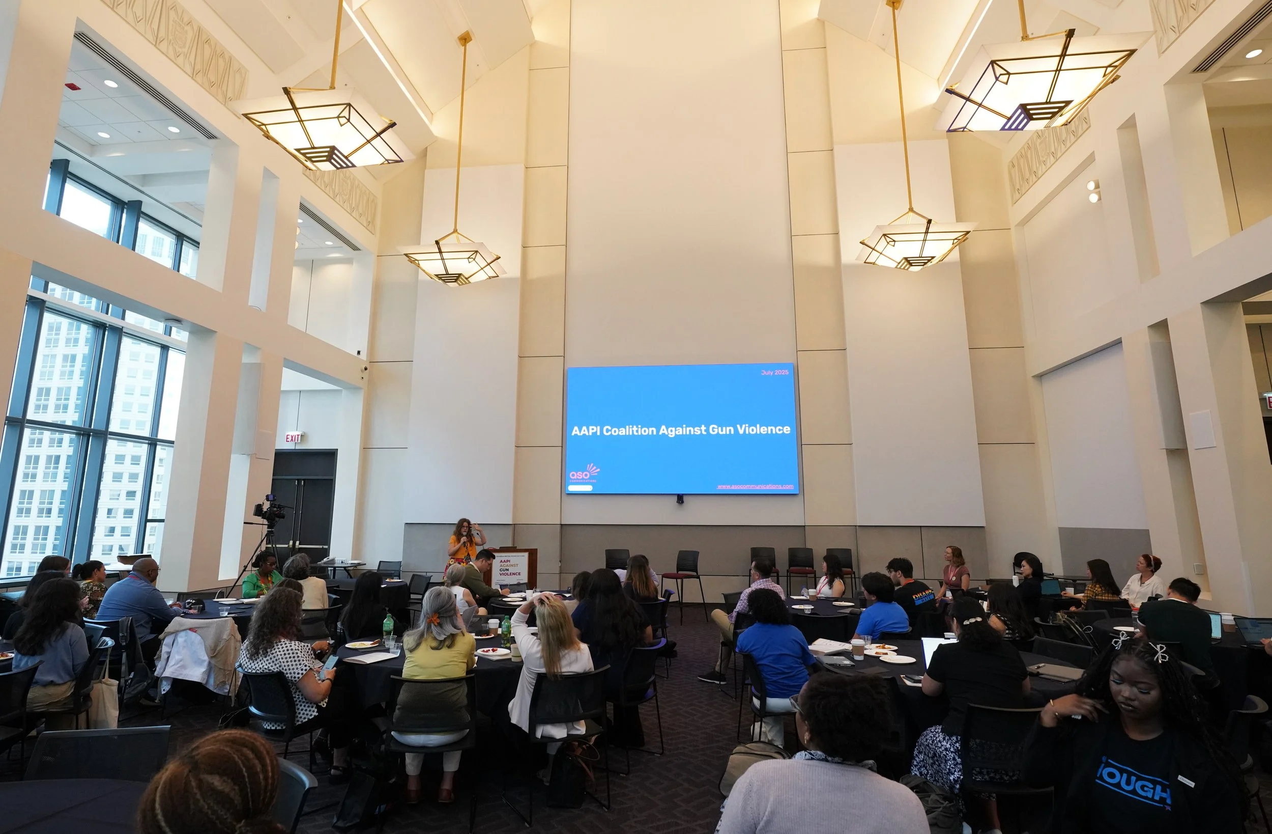 AAPI Gun Violence Event-ChicagoJuly2025-AlexGarcia-222.jpg