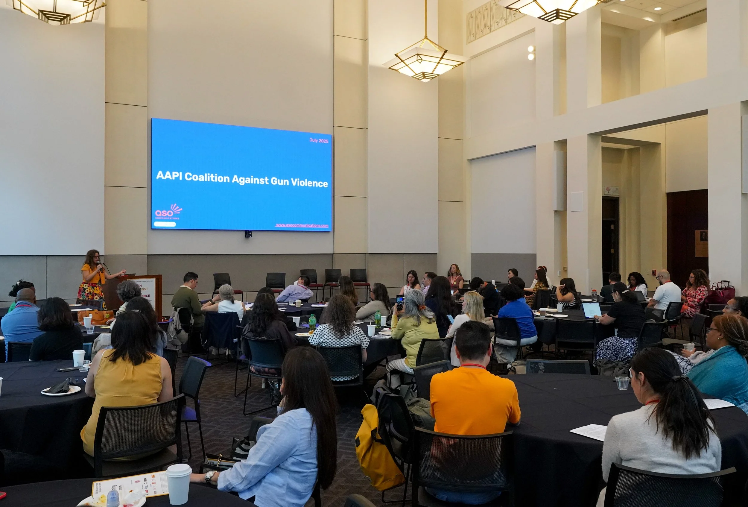 AAPI Gun Violence Event-ChicagoJuly2025-AlexGarcia-221.jpg