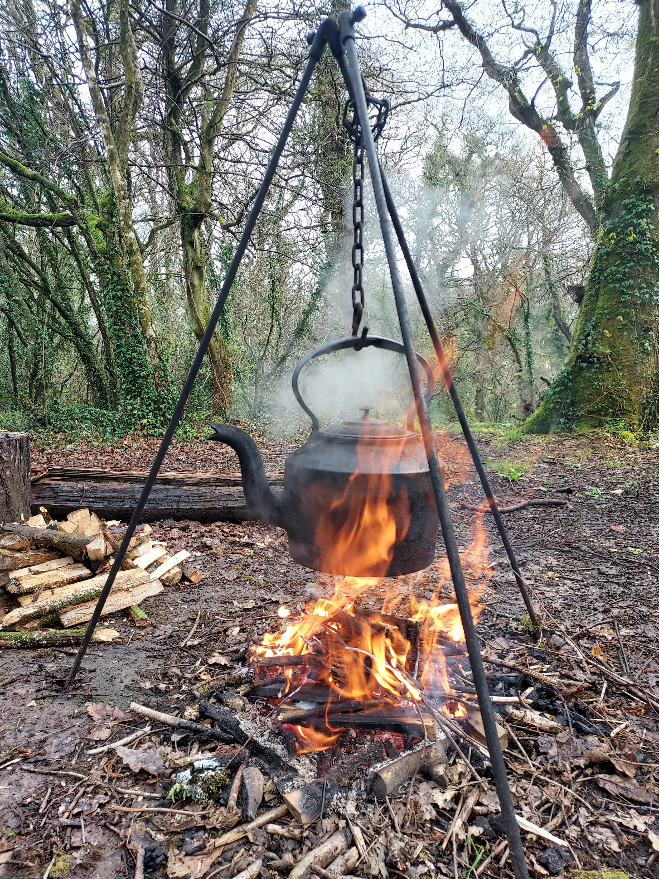 A kettle hanging over an open campfire in a wooded area, with wood logs nearby and trees in the background.
