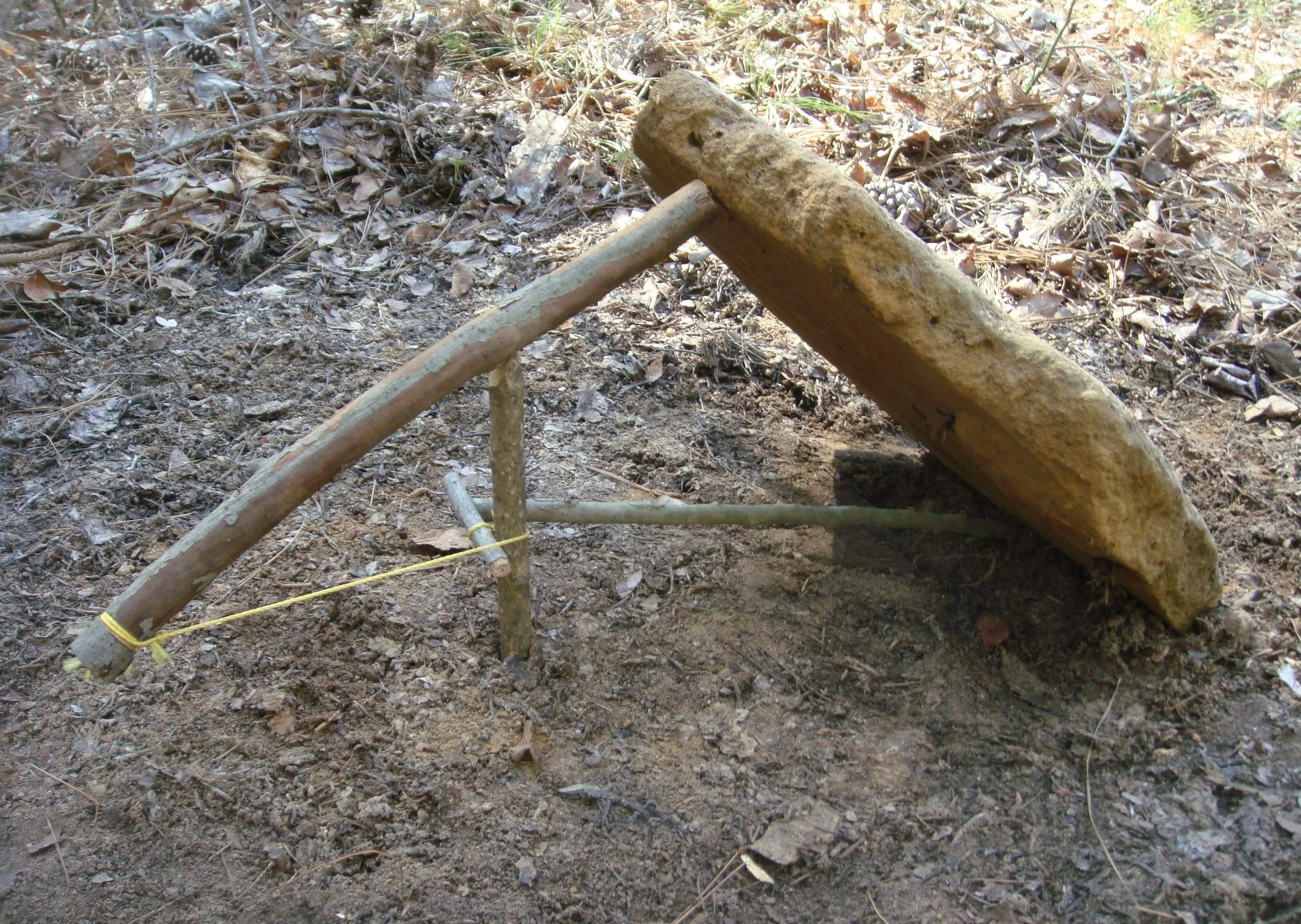 Paiute Deadfall Trap