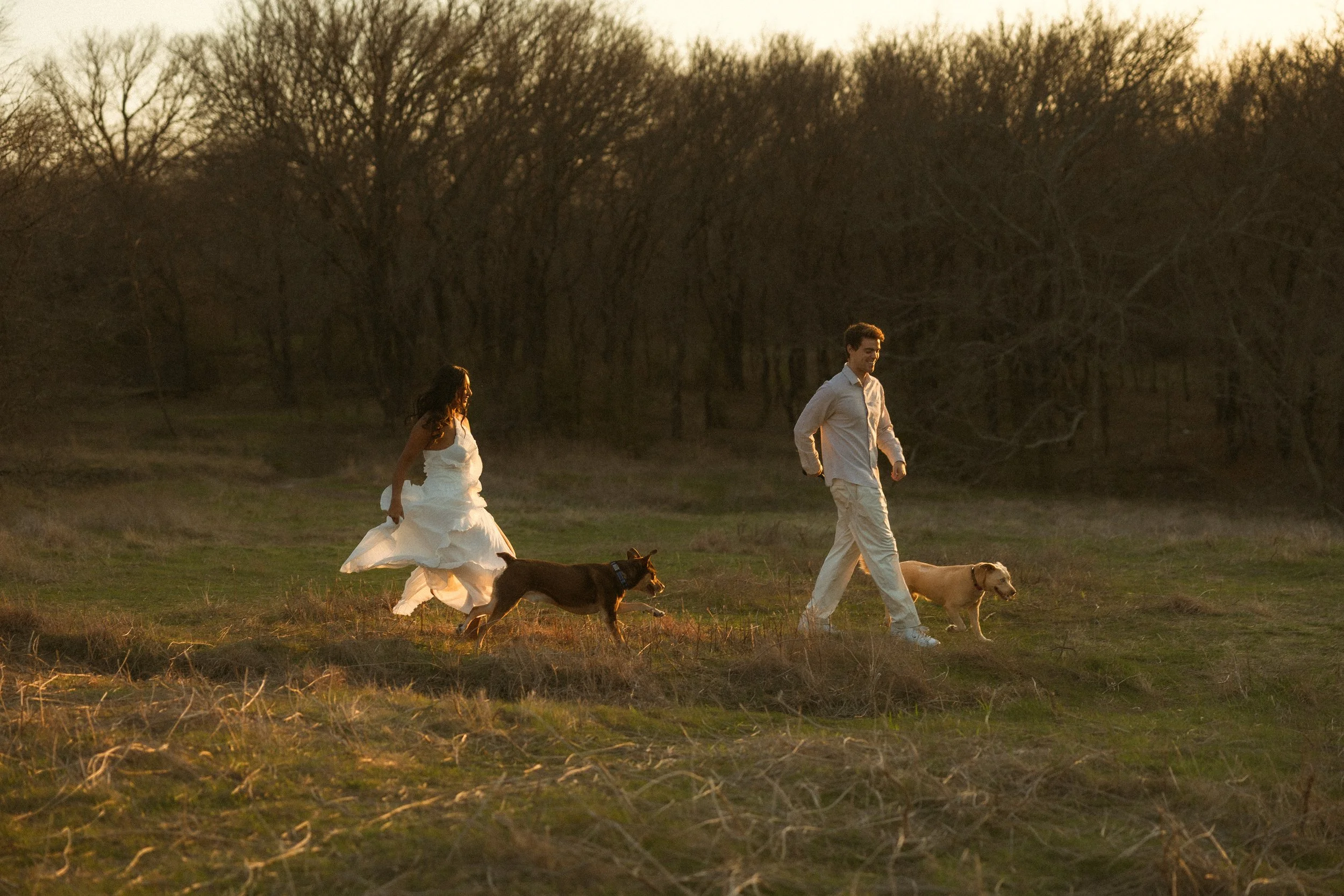 A couple walking dogs in a grassy field during sunset, with bare trees in the background.