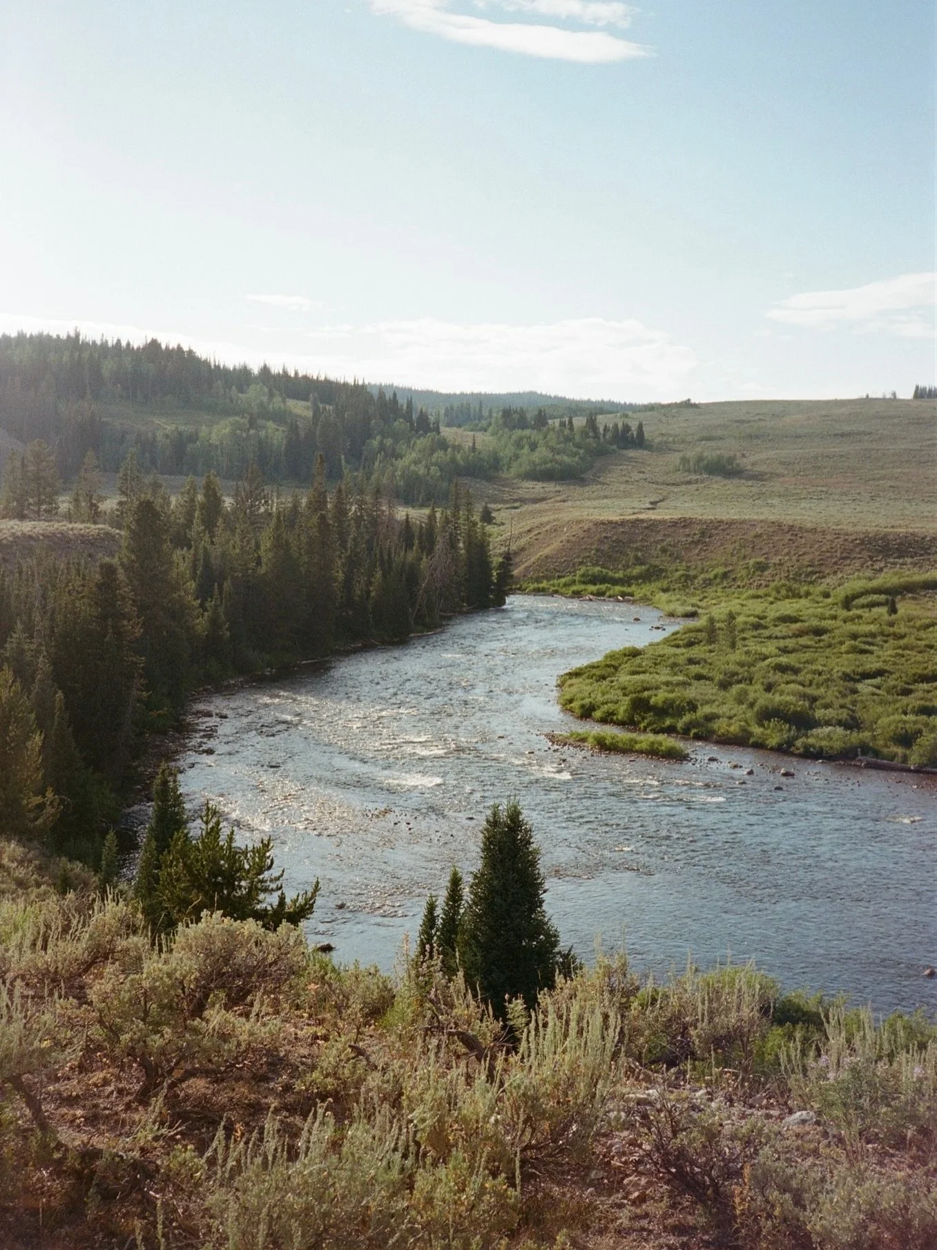 snake river, wyoming on film. developed by @onehrfilm. 📩