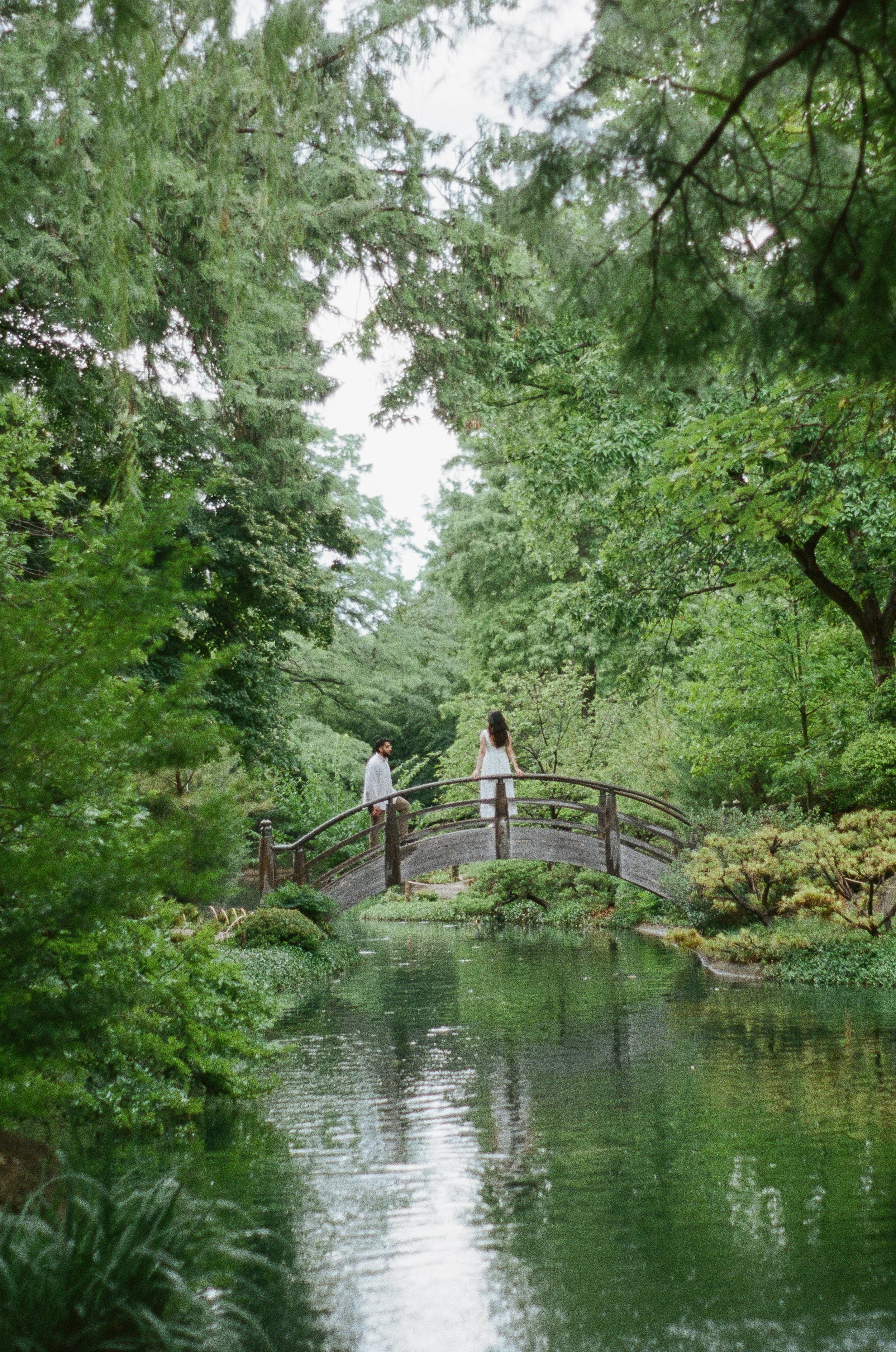 A serene park scene with a small wooden bridge over a calm river, lush green trees on both sides, and two people standing on the bridge, surrounded by dense foliage.