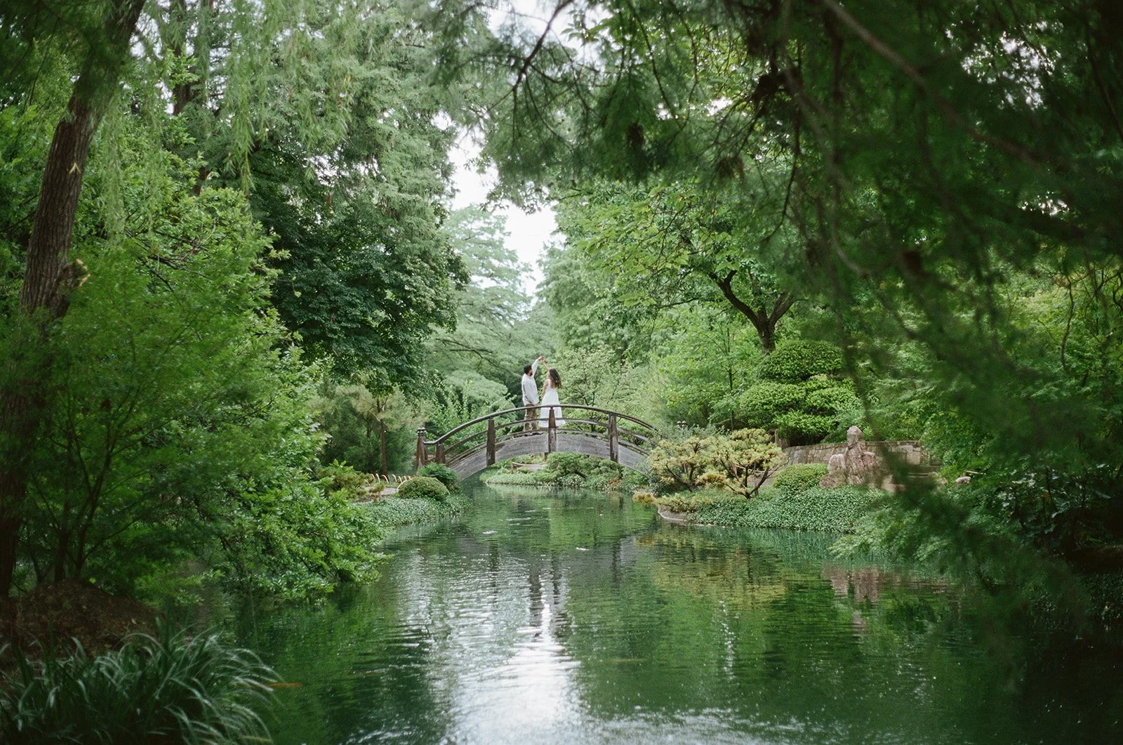 A couple standing on a small arched bridge over a pond in a lush green garden, surrounded by dense trees and shrubs.