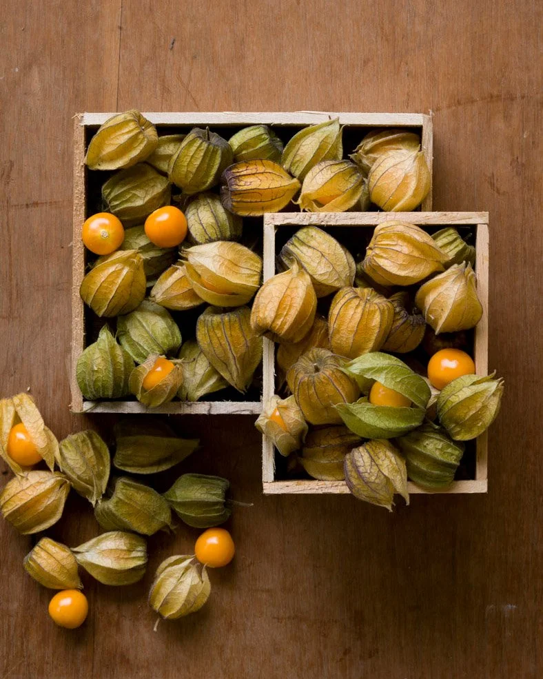 uchuva (gooseberry) arranged in rustic boxes on brown wood background 