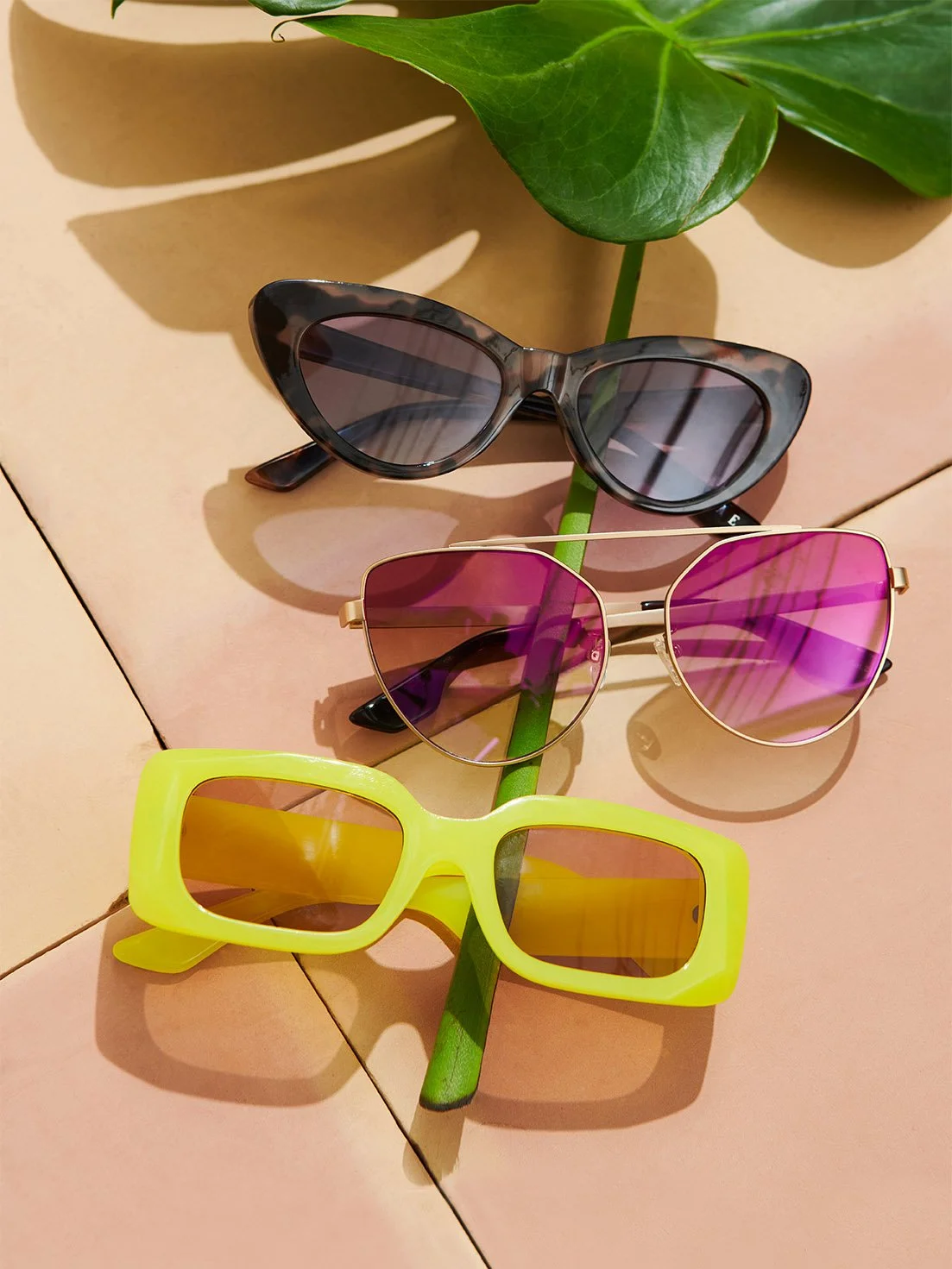 colorful sunglasses on warm tile surface arranged on leaf stem 
