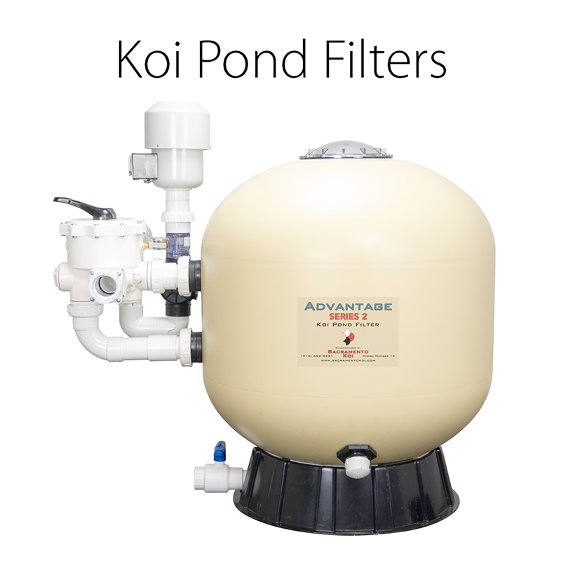 Koi Pond Filter