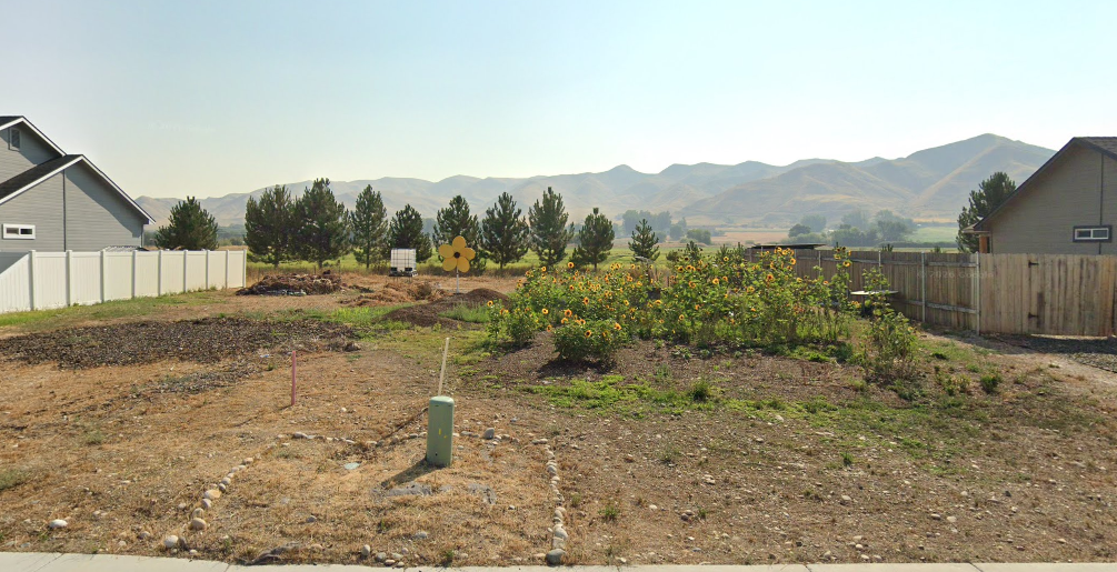 Emmett - Sharecrop Platinum