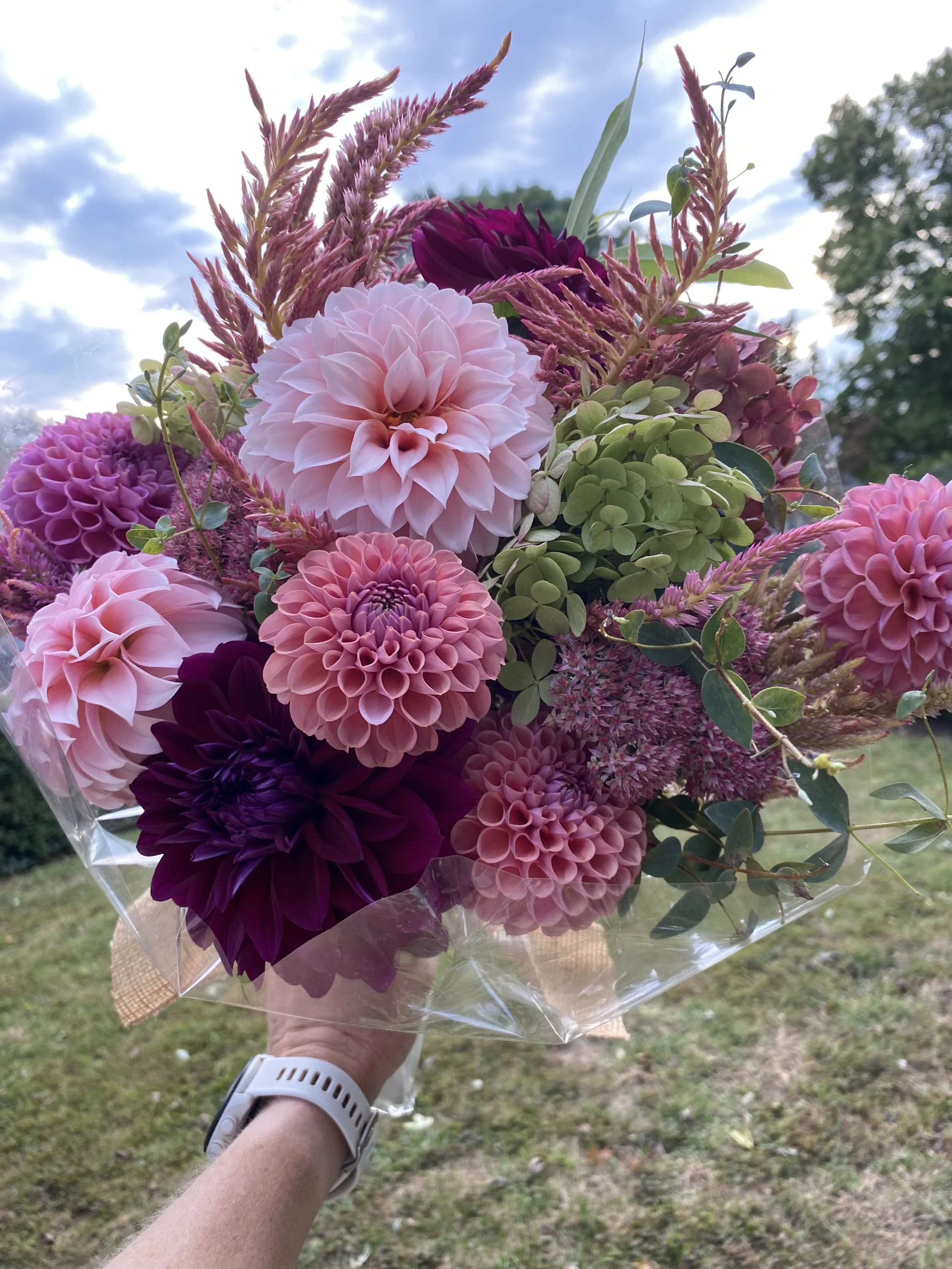 Hand holding a bouquet of pink, purple, and green flowers outdoors with a grassy field and cloudy sky in the background.