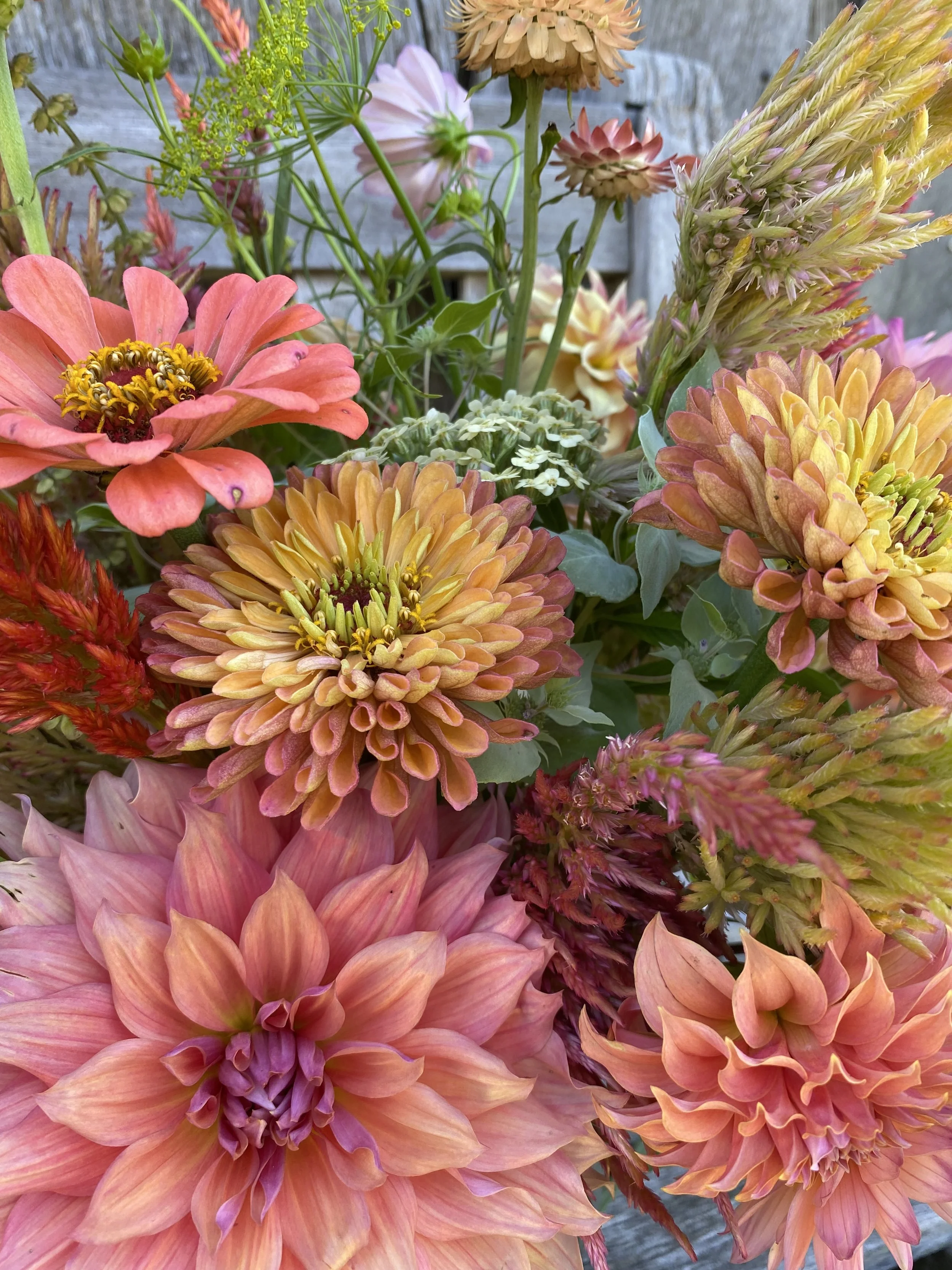 A colorful bouquet of various flowers, including dahlias, zinnias, and other blooms, with pink, orange, yellow, and cream colors, against a blurred wooden background.