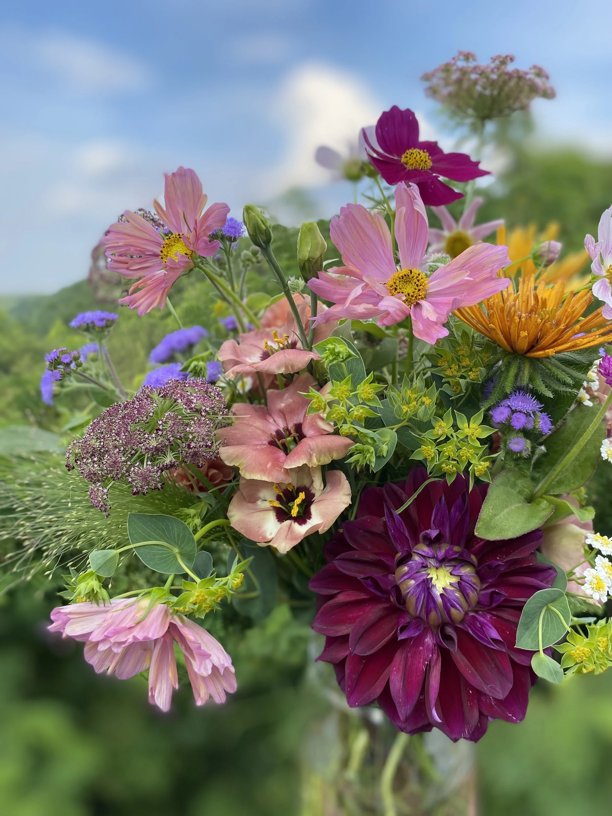 Colorful bouquet of various flowers including pink cosmos, purple asters, orange zinnia, and deep purple dahlia outdoors with a blurred green landscape and sky in the background.
