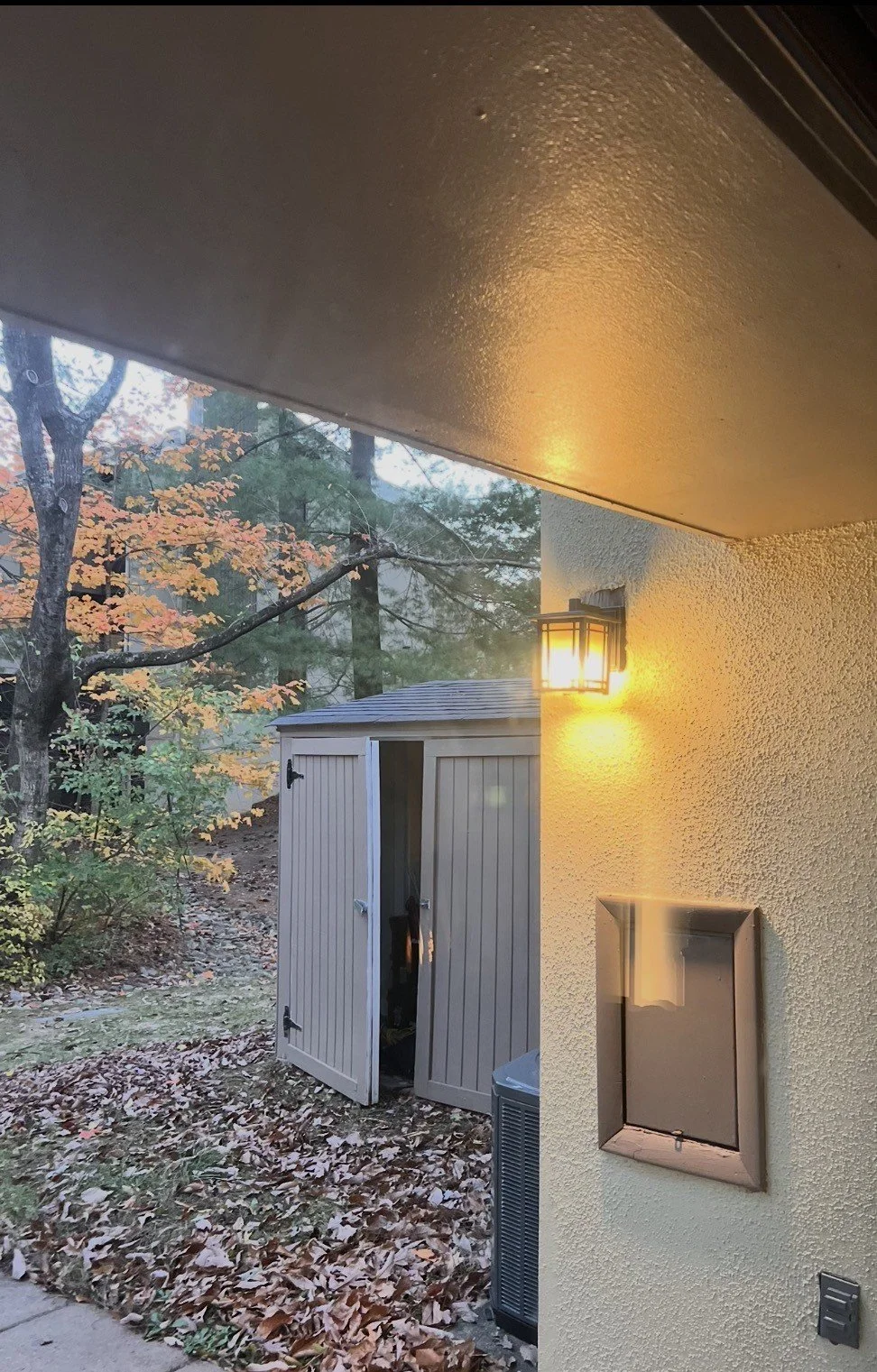 View of an outdoor shed with open double doors, surrounded by autumn leaves, with a street lamp illuminating the wall of a house, and trees in the background during dusk or early evening.