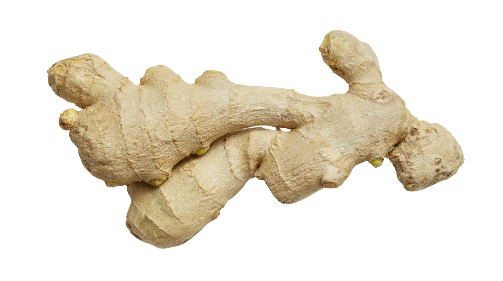 A piece of fresh ginger