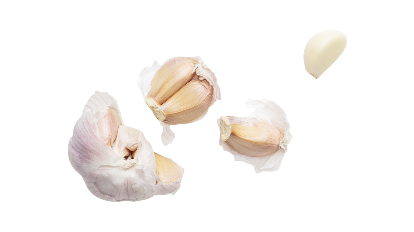 A partially peeled head of fresh garlic with bulbs separated