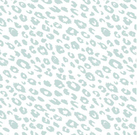 leopard baby 5pk bib setArtboard 5 copy 8.png