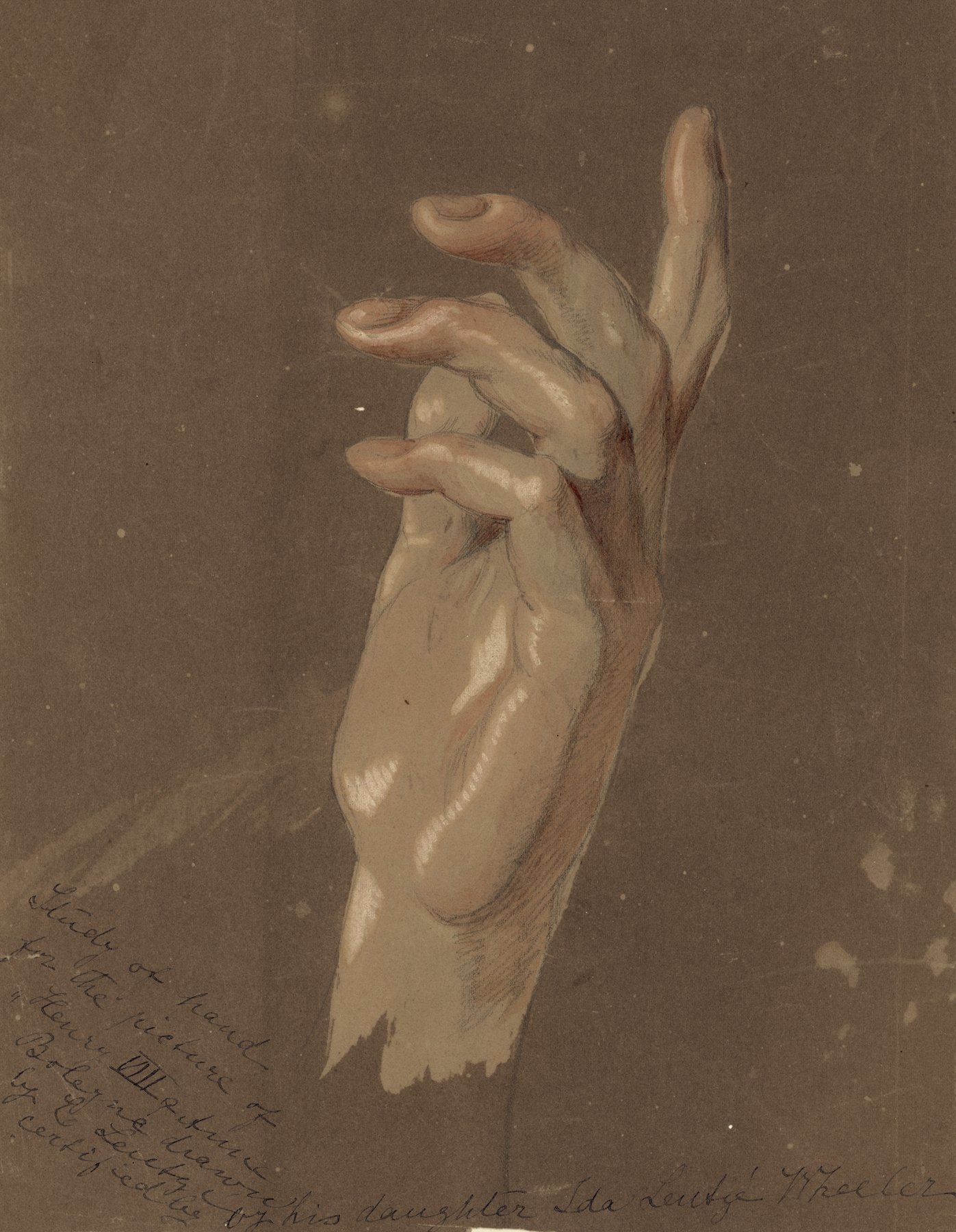 A detailed drawing of a human hand with fingers slightly curled, rendered in a realistic style with shading and highlights, on a brown background with handwritten notes in the lower left corner.