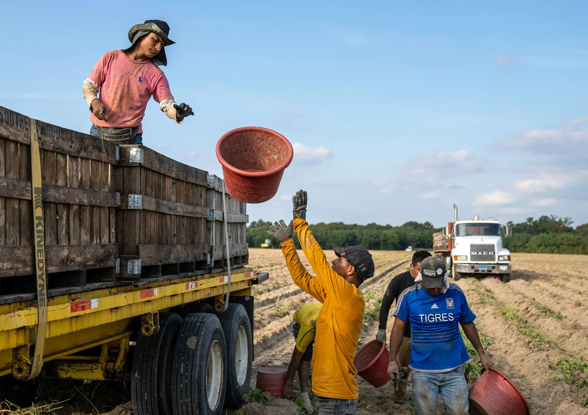 Agricultural Labor Trafficking - image