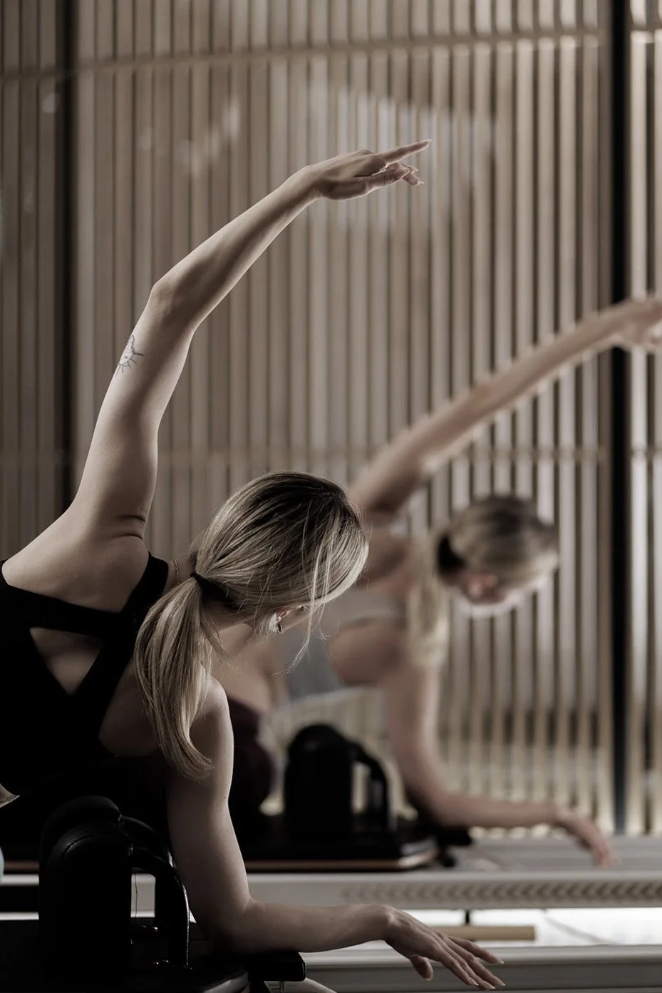 Contact Aurea Dempsey