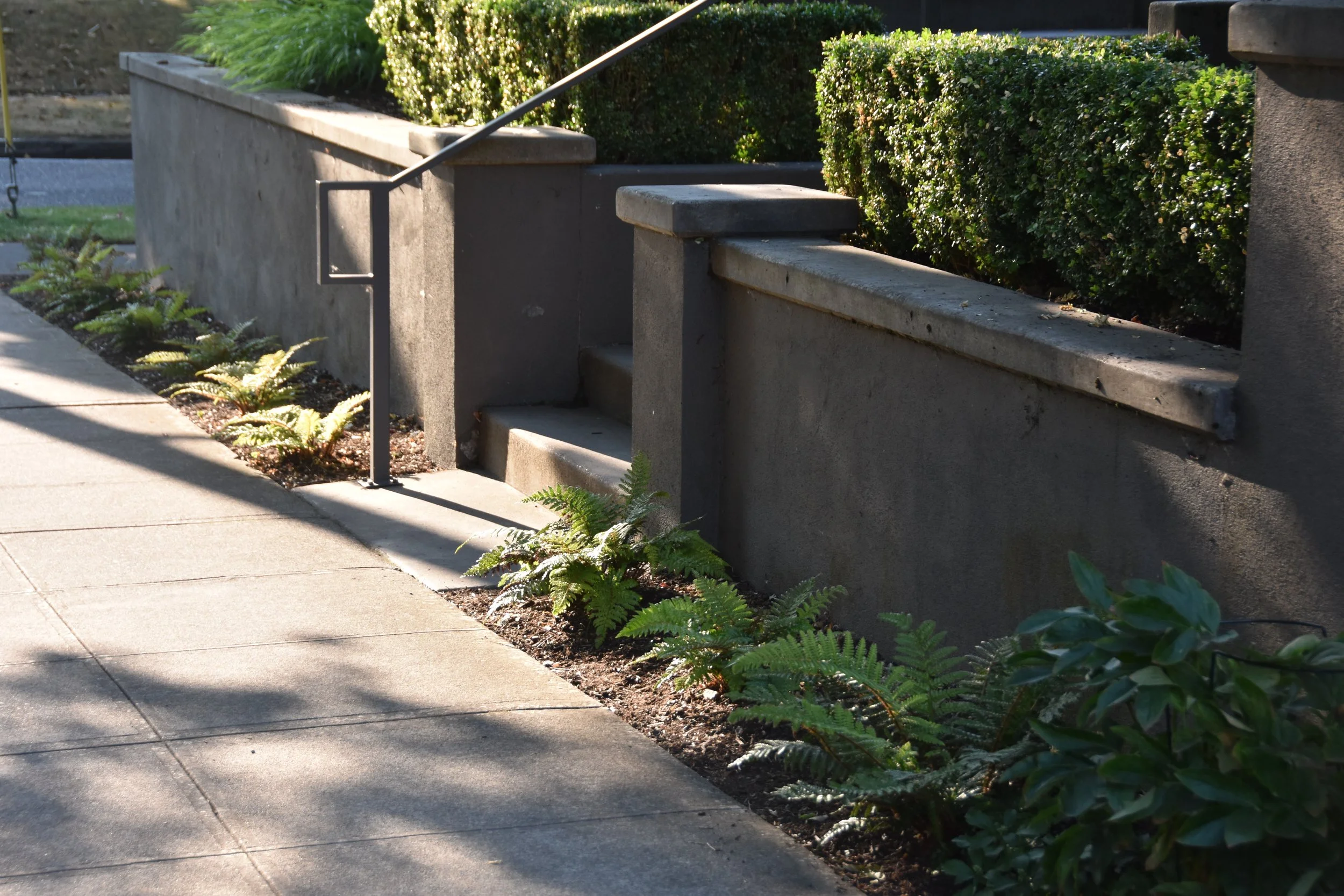 path, concrete wall, path, sunlight