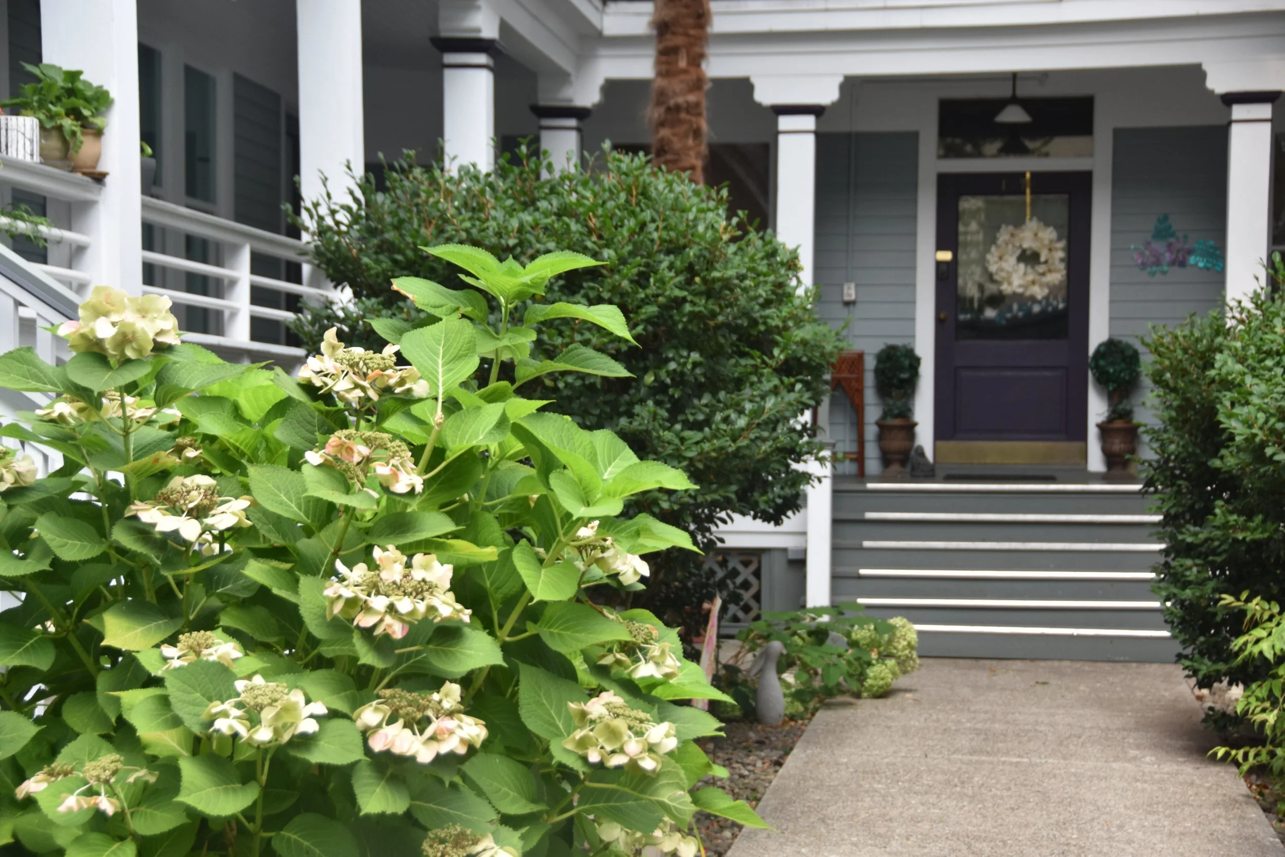 home with trees, shrubs, path
