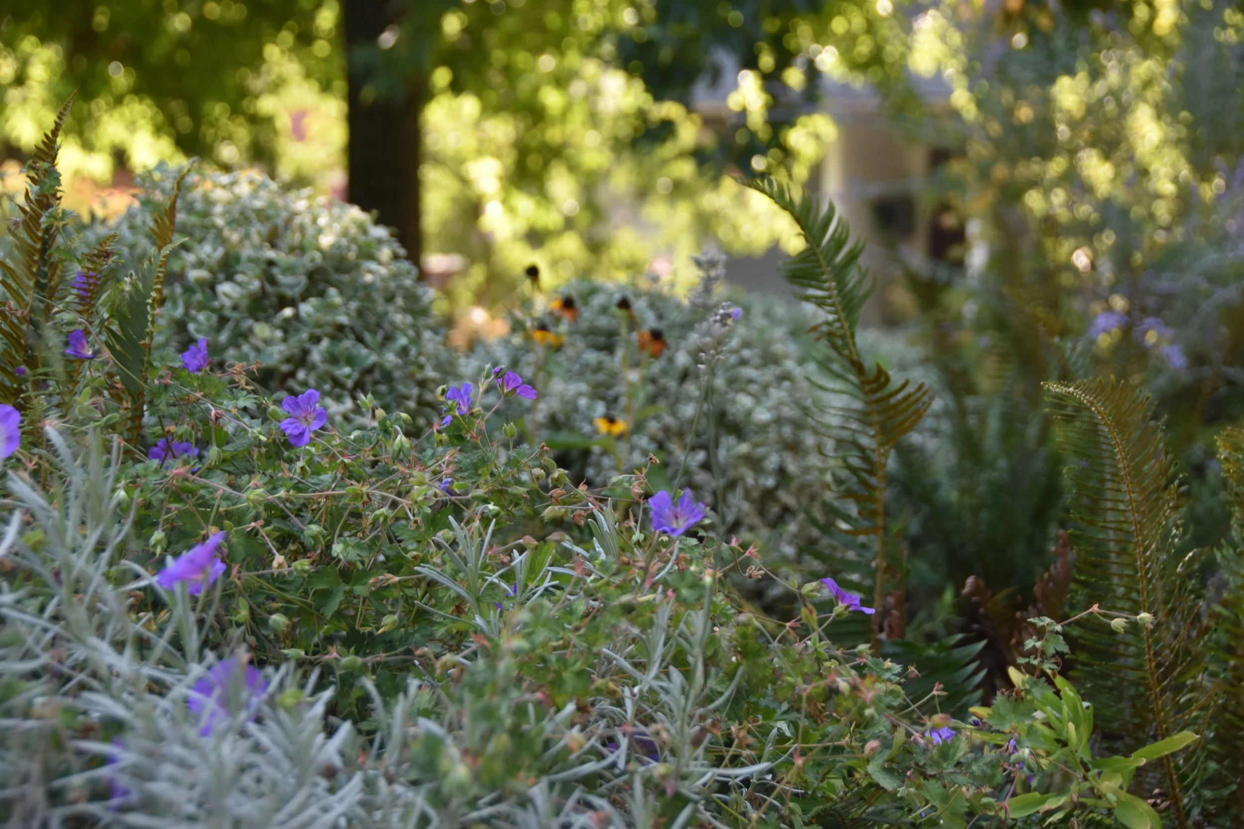 Custom Projects - Free Quote